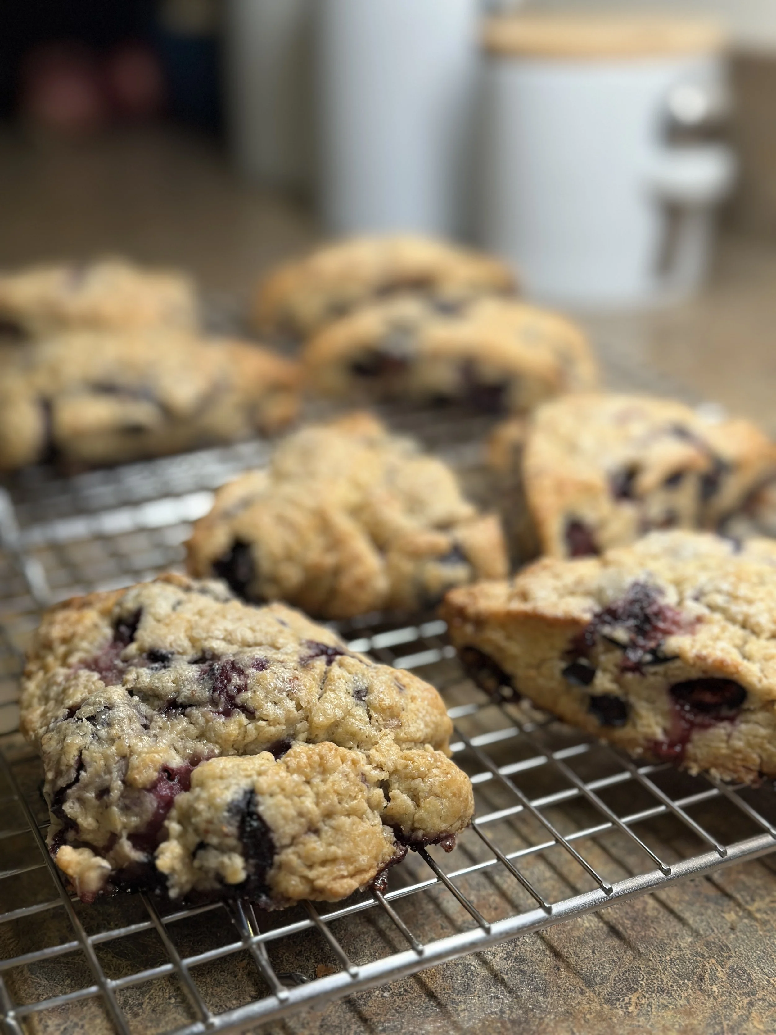 Cranberry Almond Scones (Pack of 4)