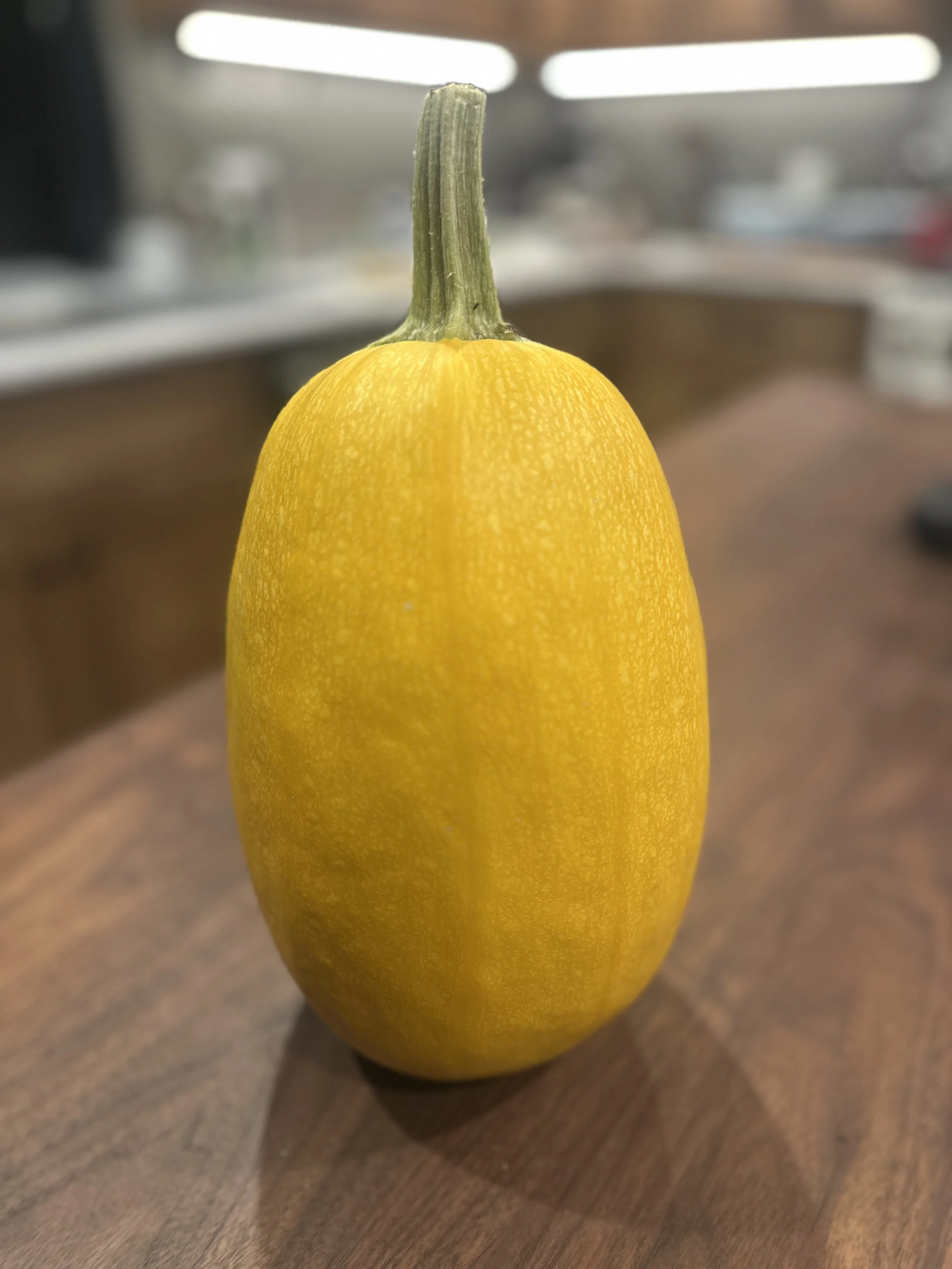 Spaghetti Squash Large