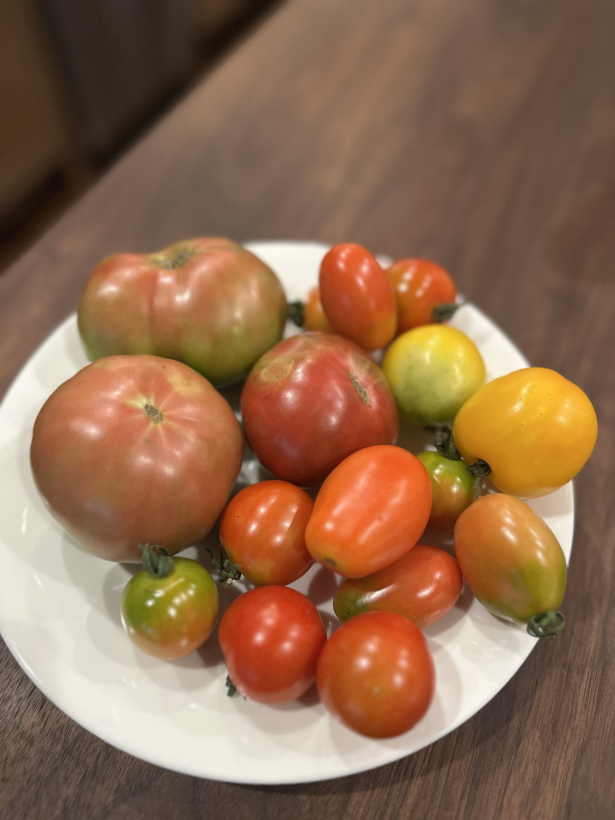 2lb of Tomatoes