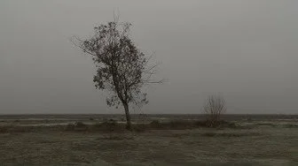 Video Essay - ‘How to Recommend Slow Cinema’
