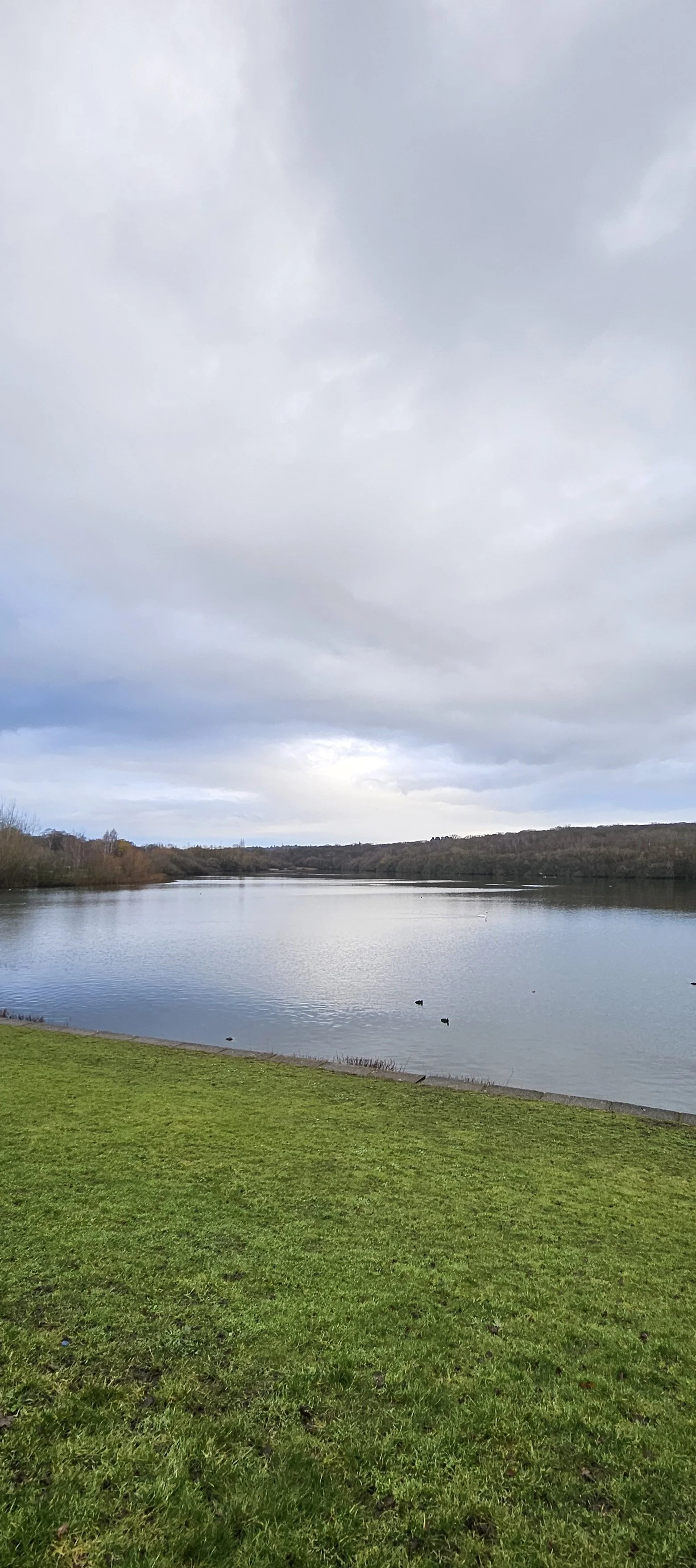 20260125_091150.jpg