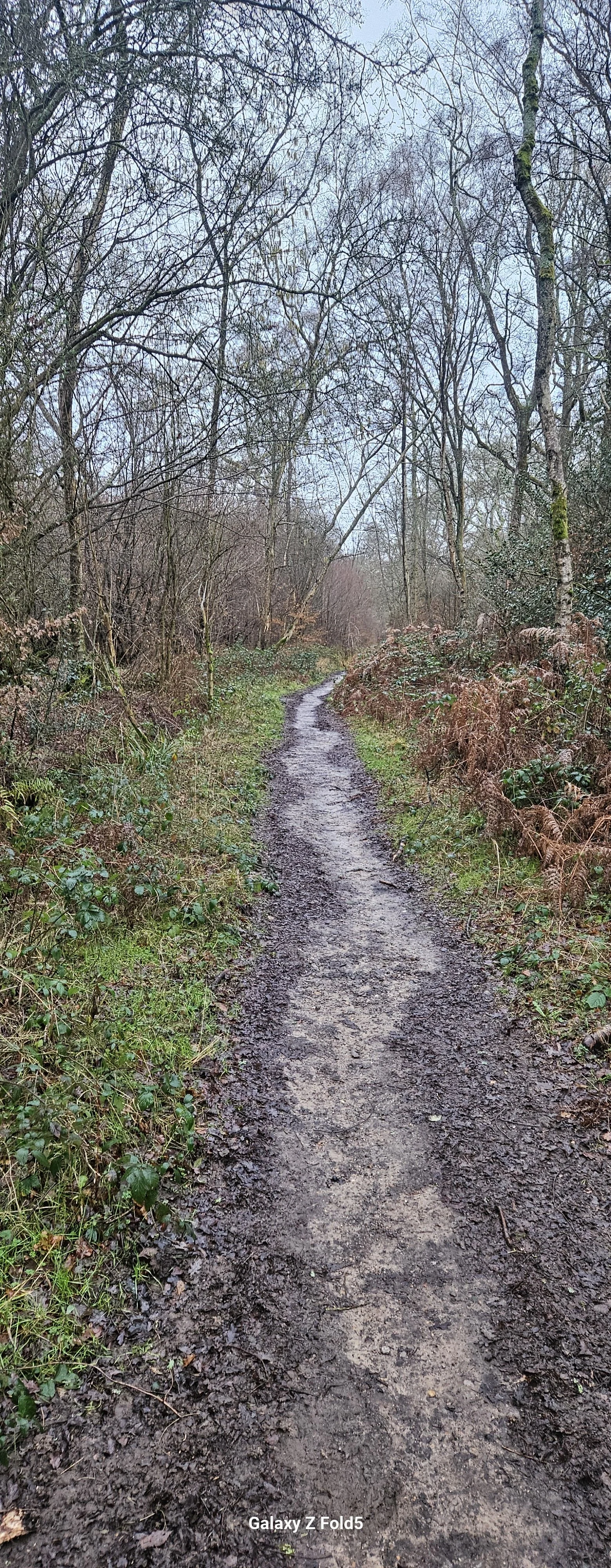 20260125_084918.jpg