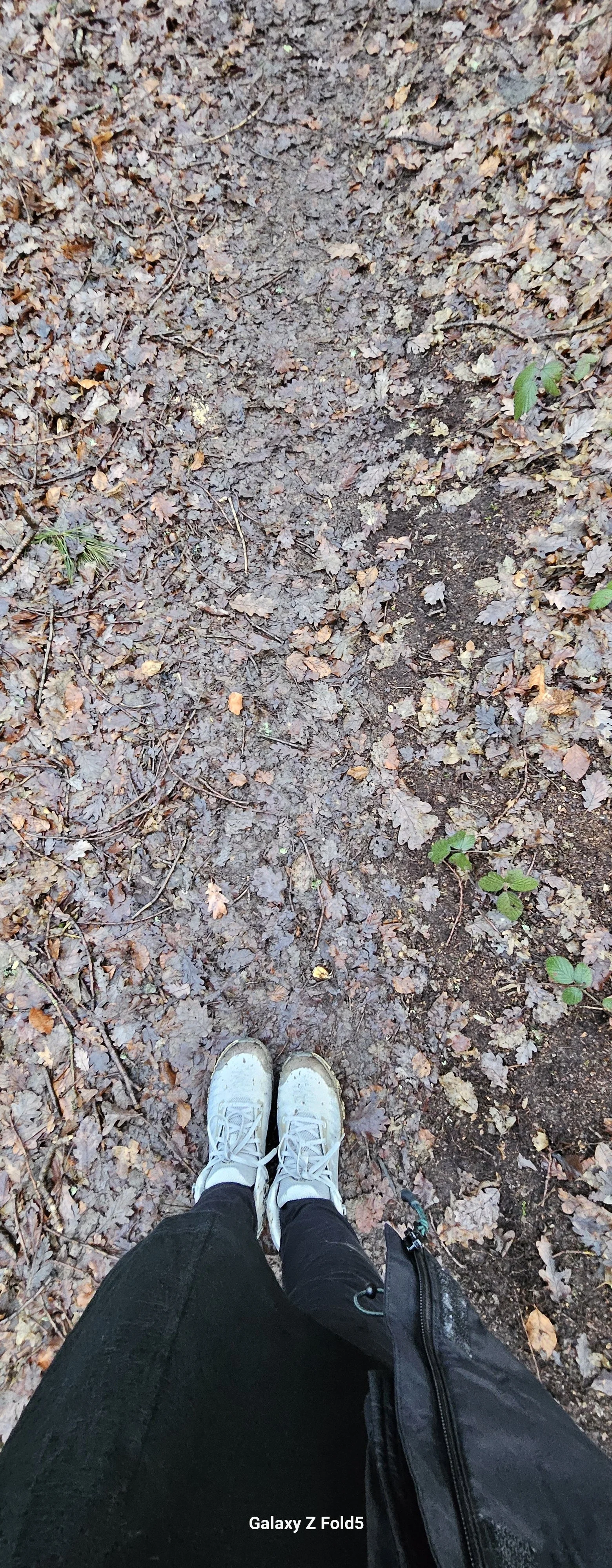 20260125_083013.jpg