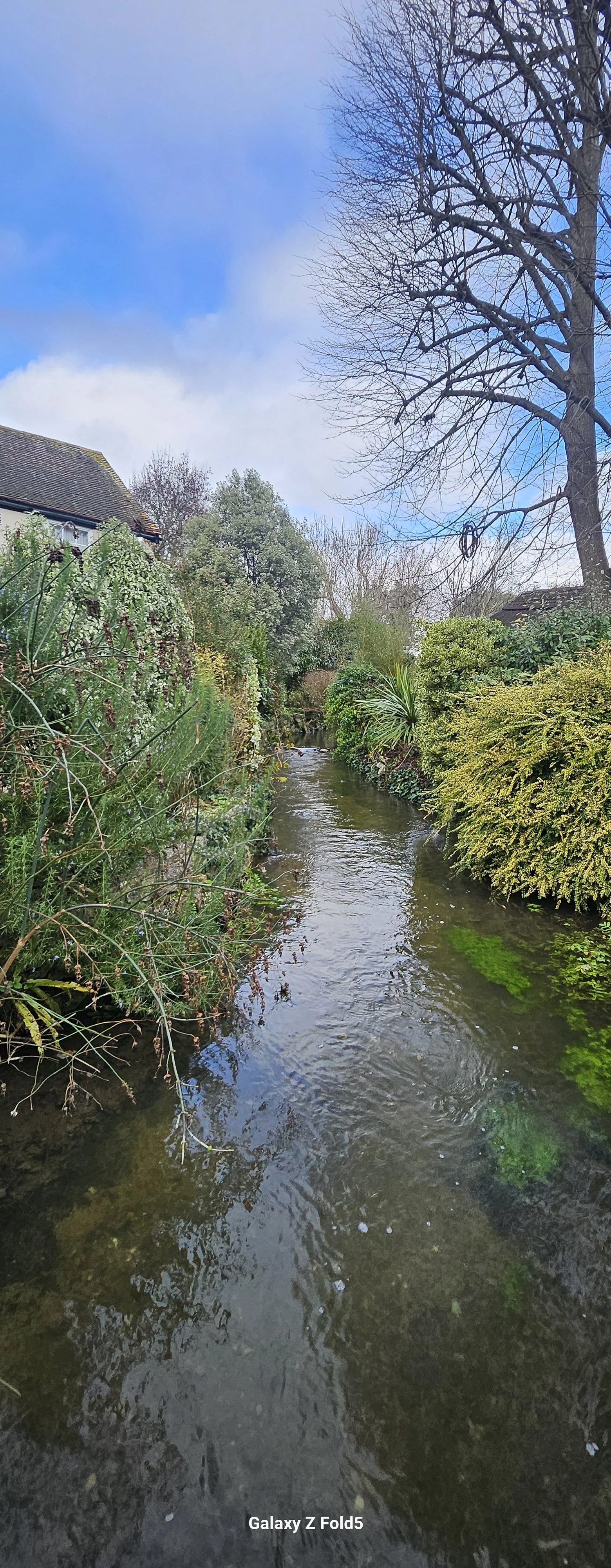 20260129_111440.jpg