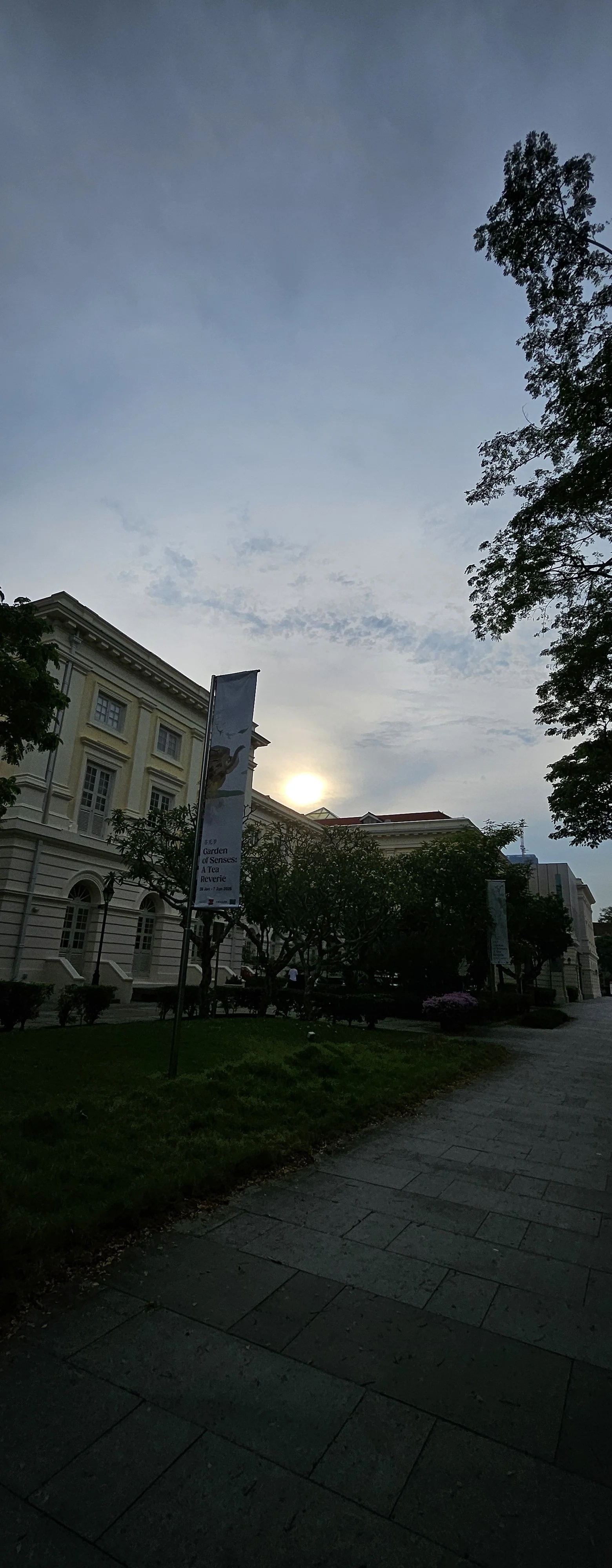20260409_180310.jpg