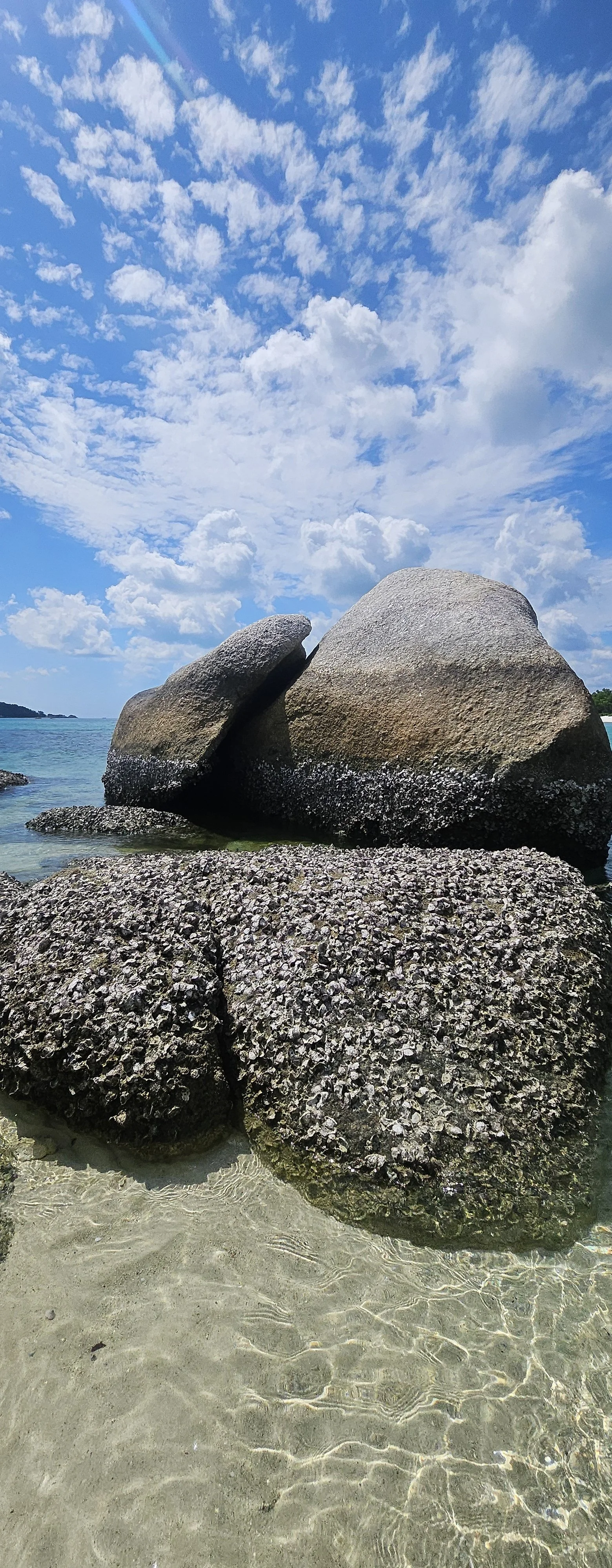 20260528_103754.jpg