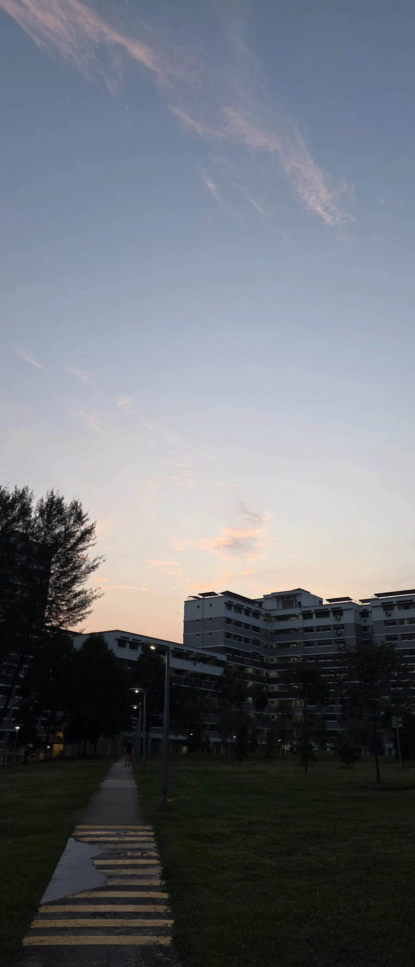 When “Not Walking” Became the Right Walk
