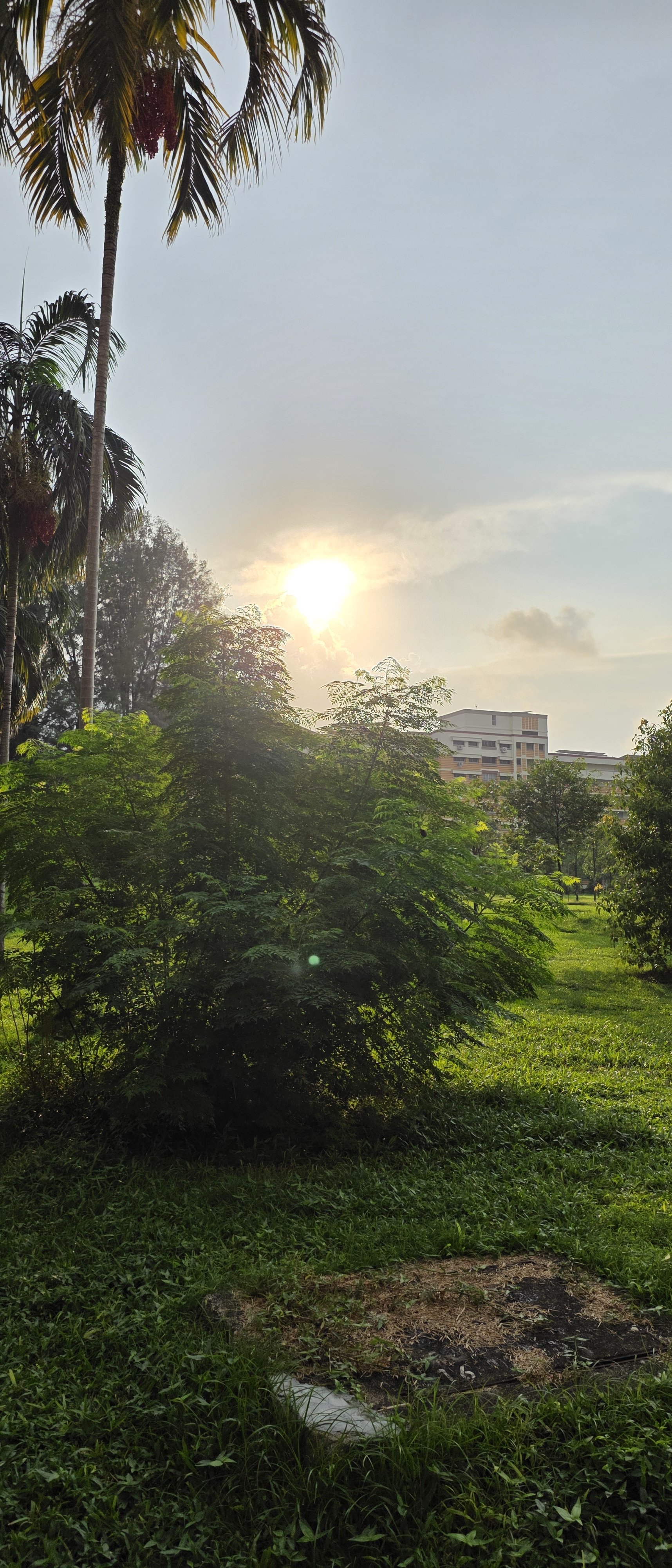 Quiet Moment - 25 July 2026