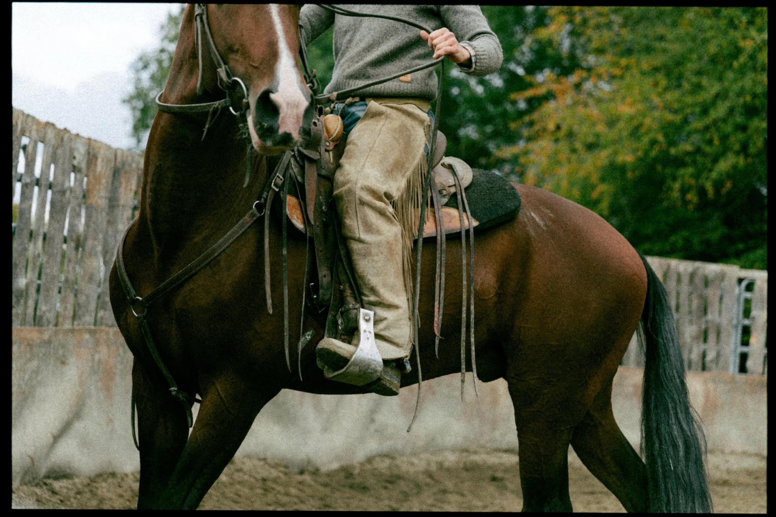 5_RI_0259 copie_1.jpg