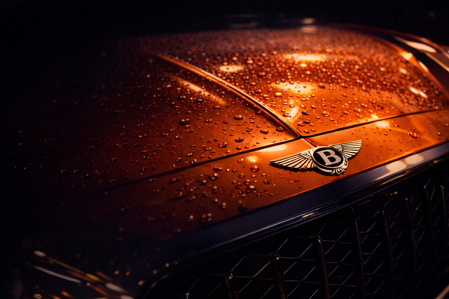 Close-up of a Bentley car hood with water droplets, featuring the Bentley emblem with wings and a 'B' in the center, in a dark setting with warm lighting.