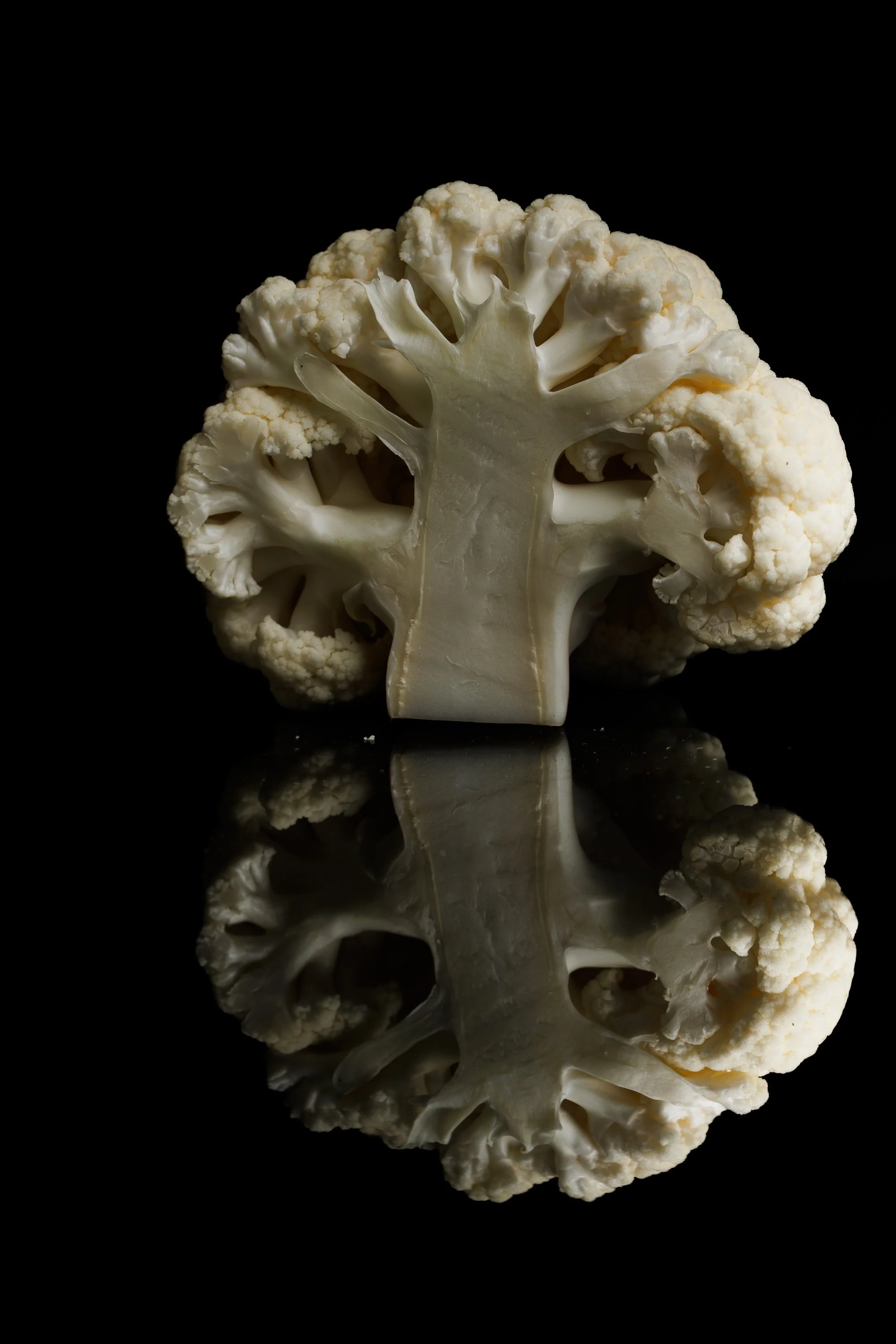 coli-11.jpg