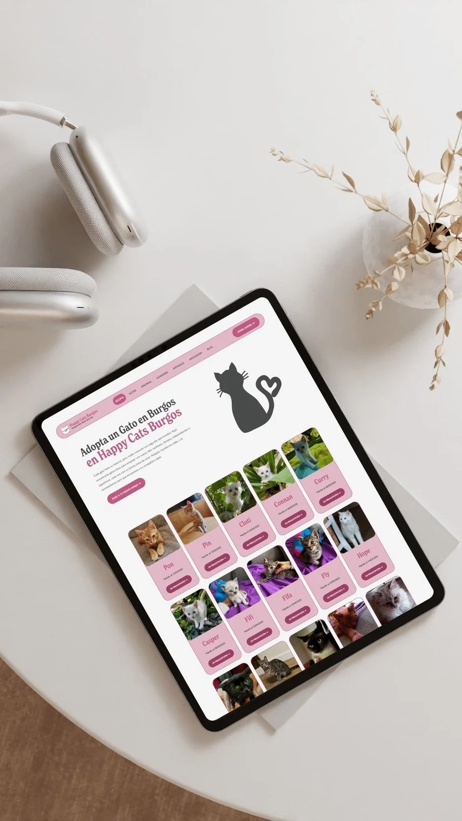Diseño web para protectora de gatos en Squarespace con enfoque emocional, adopciones y donaciones online