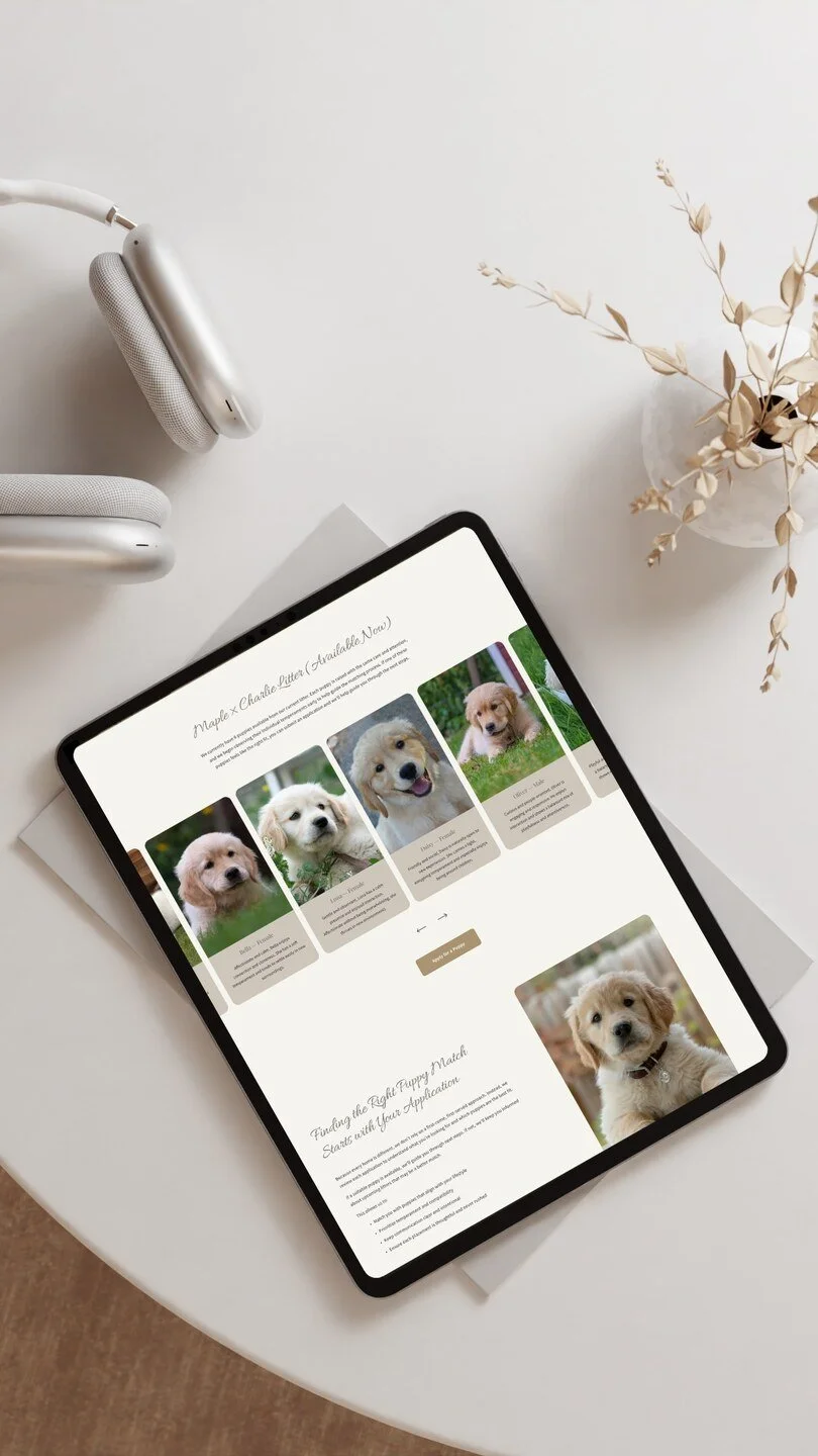 Página web para venta responsable de cachorros Golden Retriever con diseño limpio y proceso de solicitud online