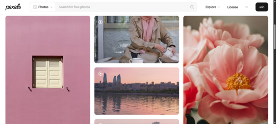 Inclusive royalty-free stock photos for web design, branding, marketing, and blog content with commercial licensing.