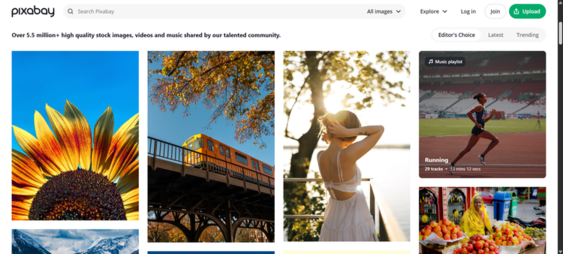 Free stock images, vectors, and illustrations for websites, e-commerce stores, and social media content creation.