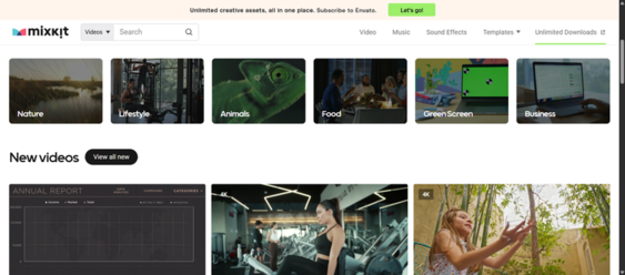 Mixkit free lifestyle and branding stock video footage for Squarespace website hero sections and background visuals.