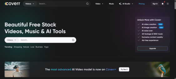 Coverr free hero section video loops for Squarespace website backgrounds and motion design.