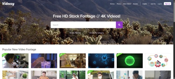 Videezy 4K and HD free stock video clips for Squarespace creatives and marketing content.
