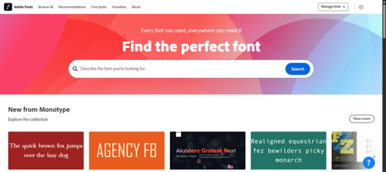 Adobe Fonts premium typography for elegant Squarespace branding and professional websites.