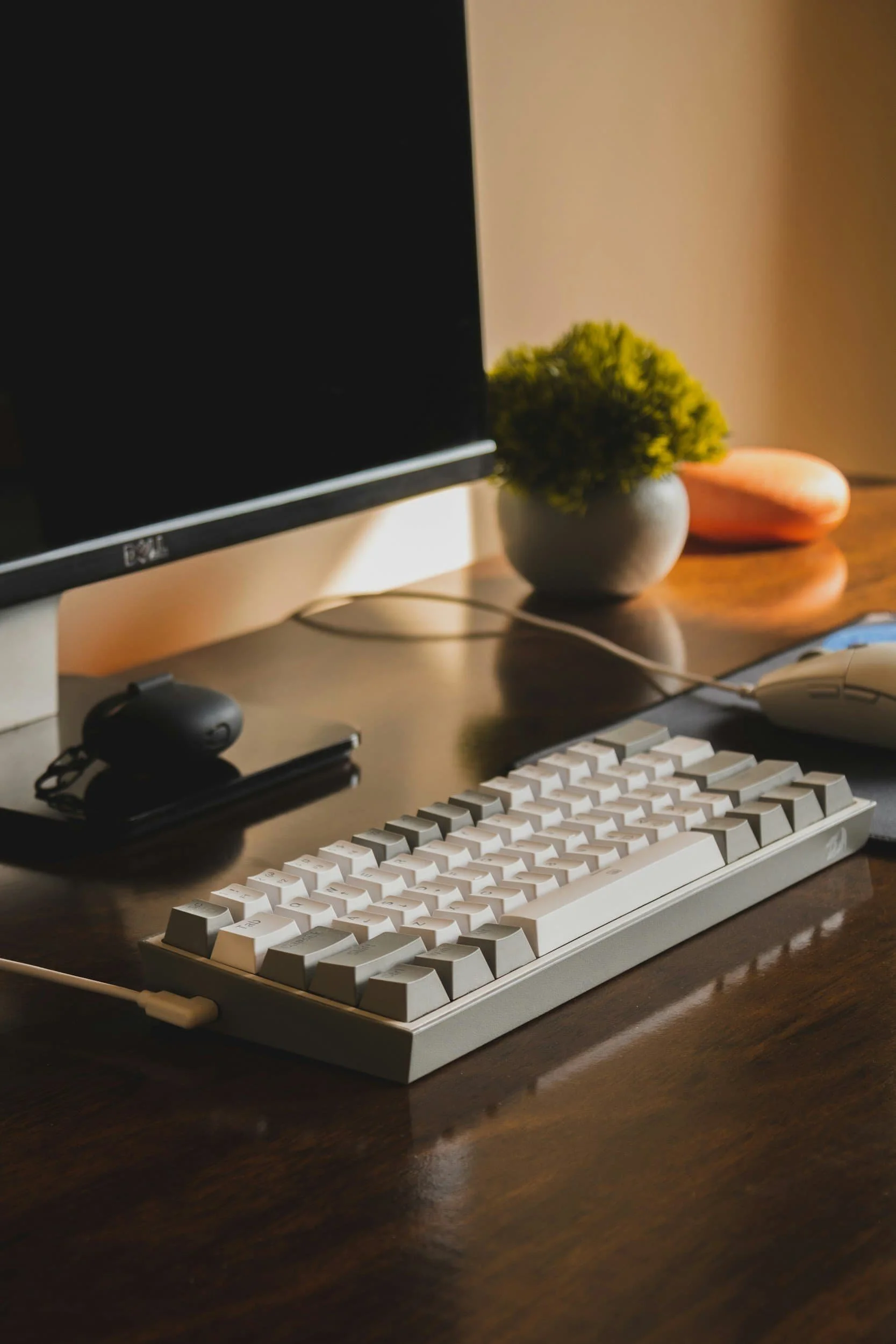 Servicio de SEO en un día para webs en Squarespace enfocado en rendimiento y conversión