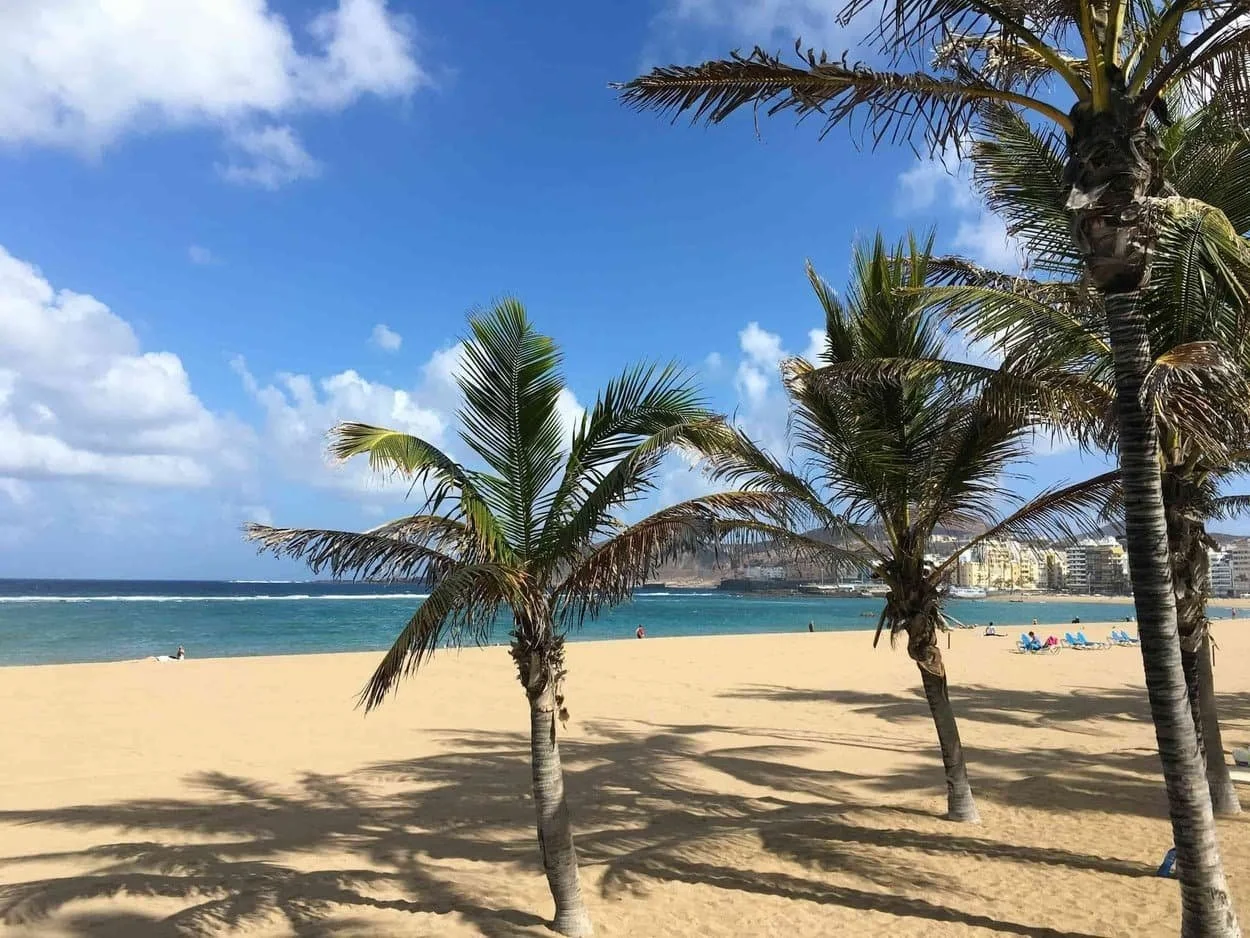 Fotografía de playa de Las Canteras en Gran Canaria utilizada como elemento visual en diseño web y branding natural