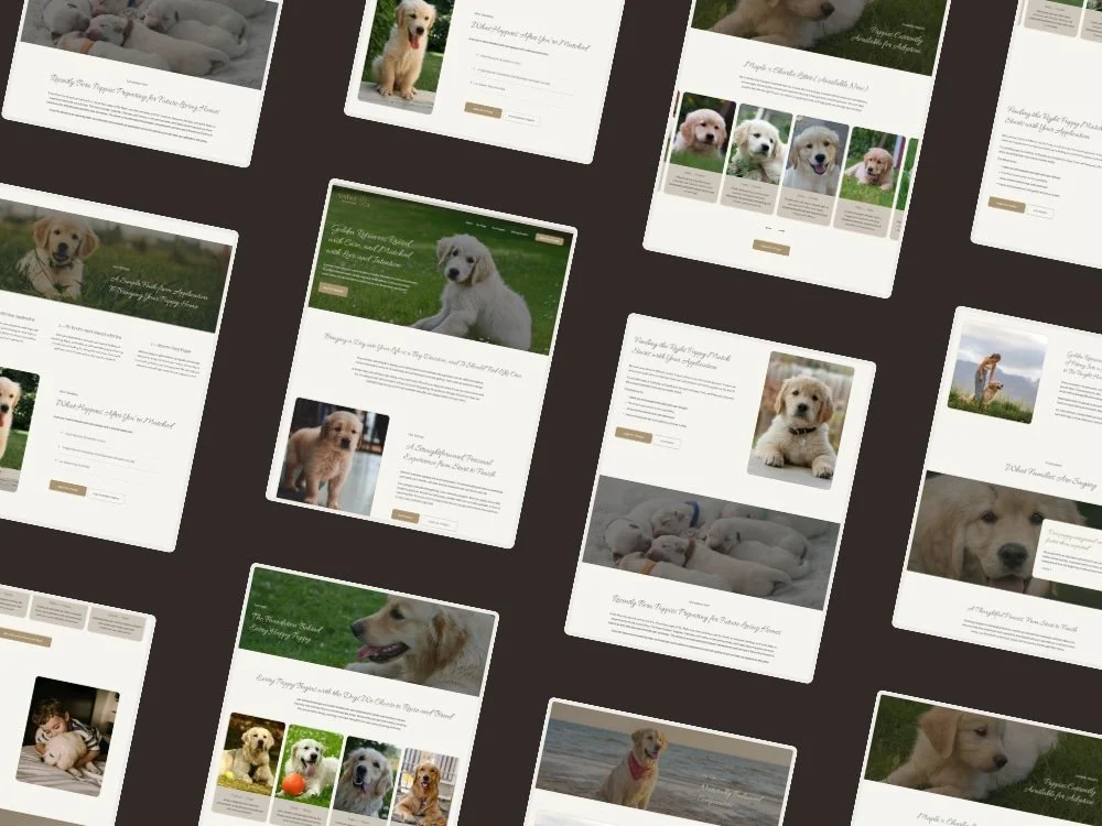 Diseño web para criador de Golden Retriever en Squarespace con estilo profesional, cálido y enfoque en confianza