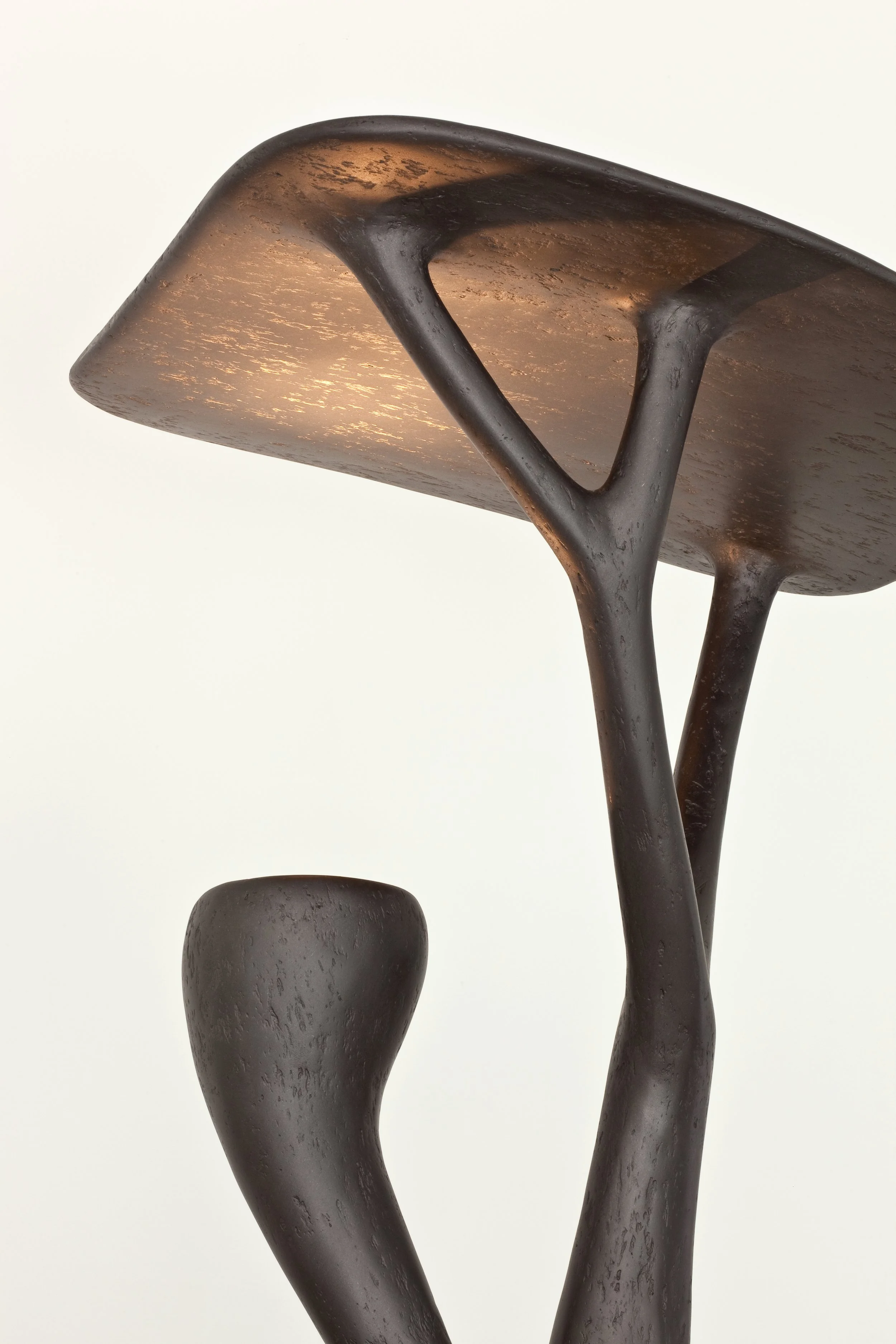 TREVELYAN_(On a) Limb-Graphite_6.jpg