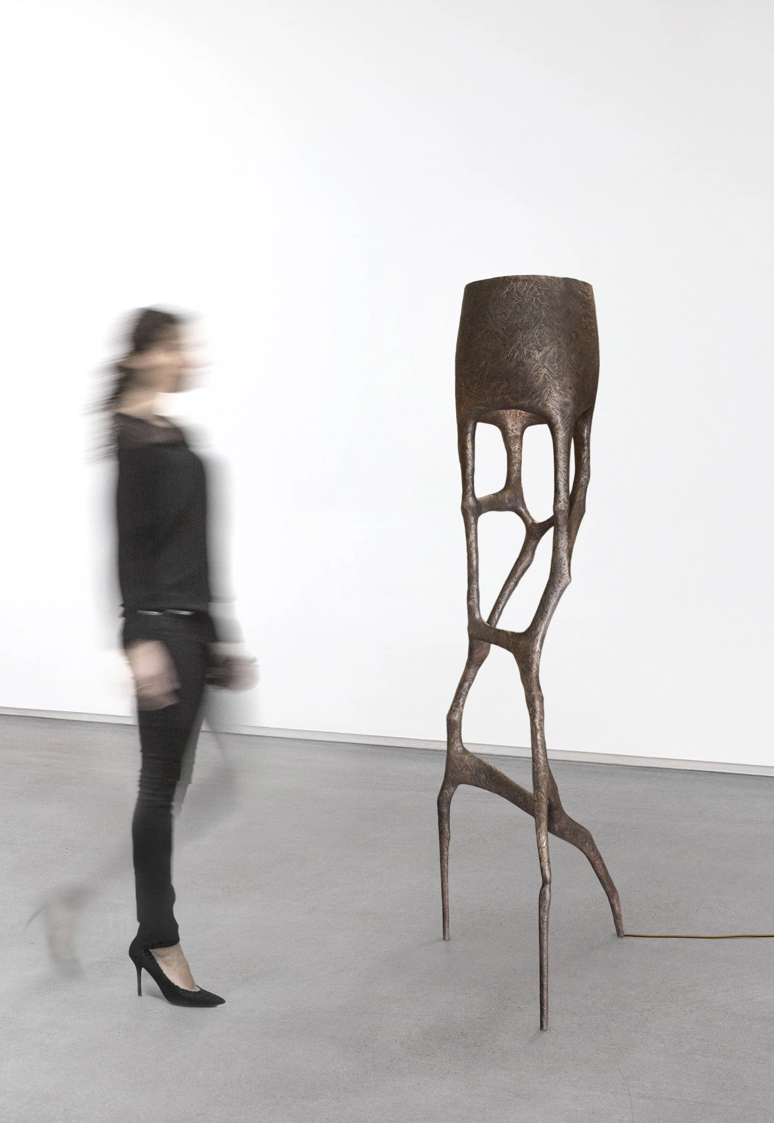 TREVELYAN_Circumspect Bronze_02.jpg