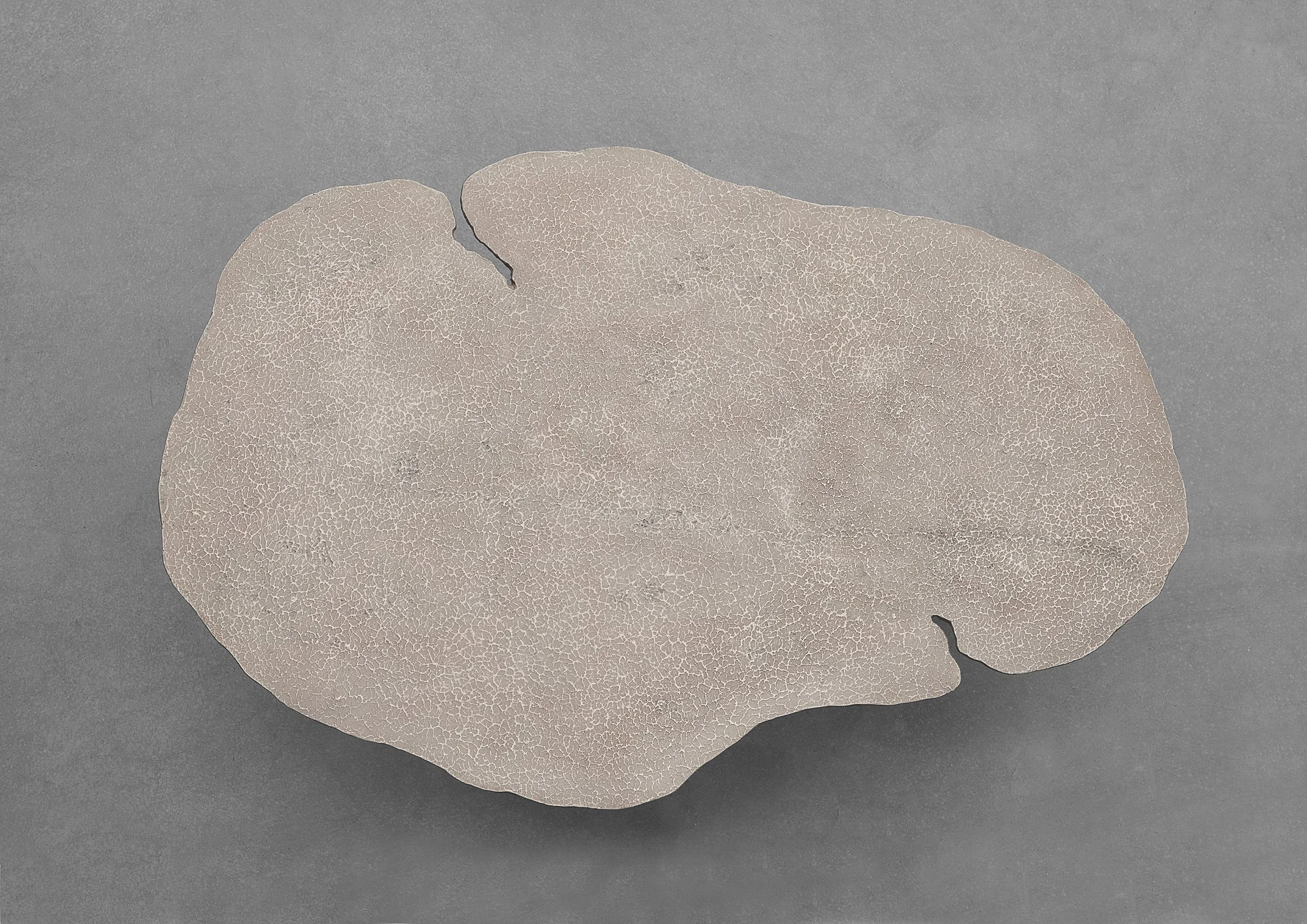 TREVELYAN_Aspect I_Top View.jpg