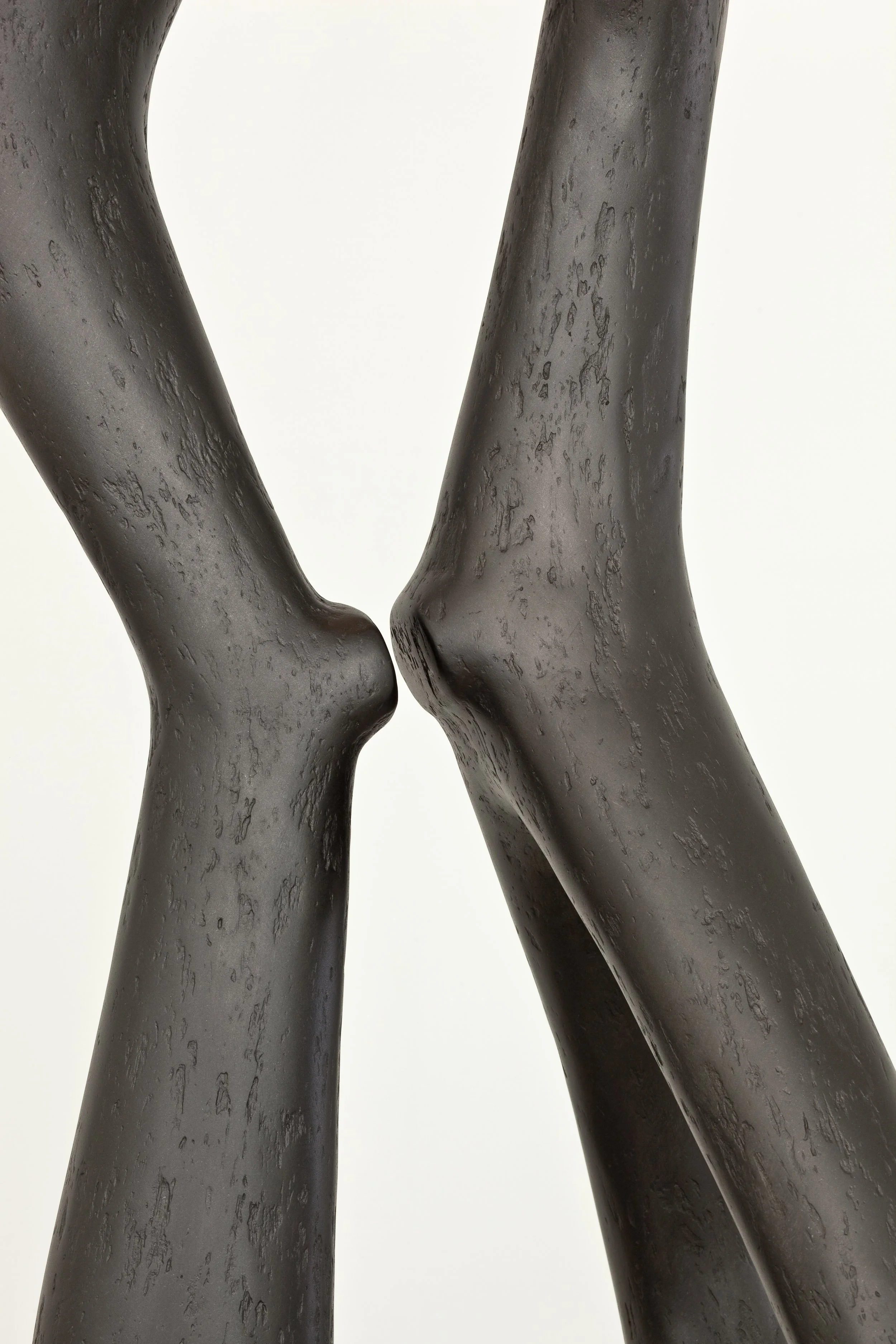 TREVELYAN_(On a) Limb-Graphite_5.jpg