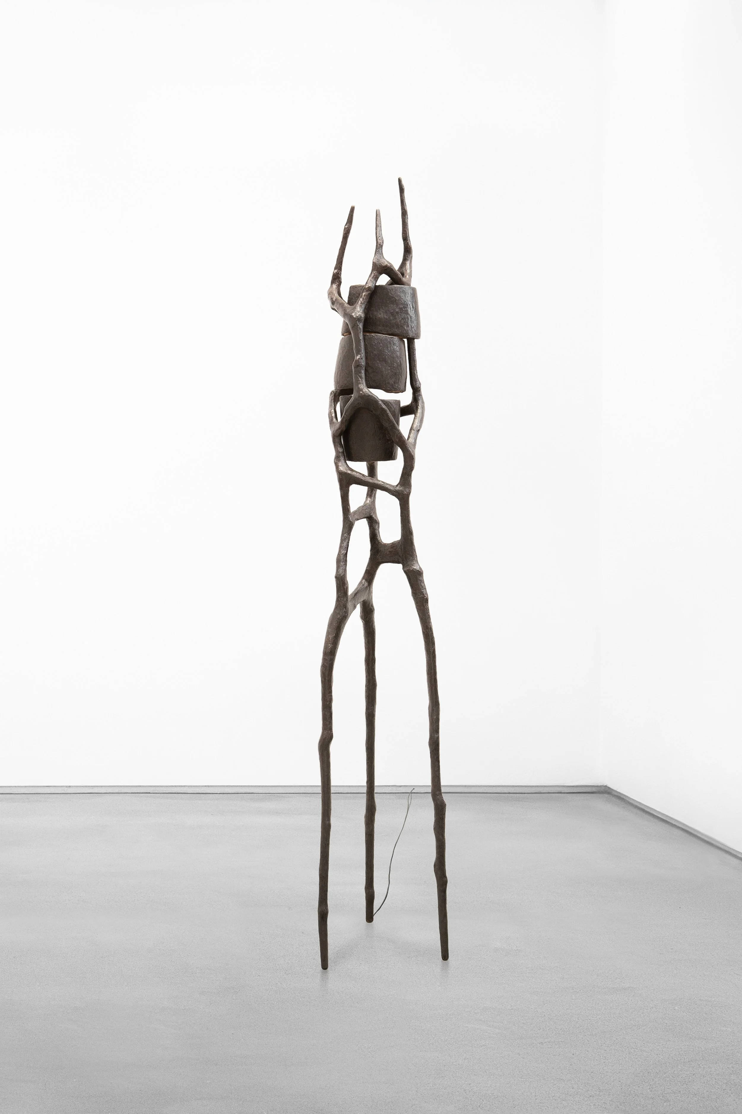 TREVELYAN_Between the Lines Brown_01.jpg