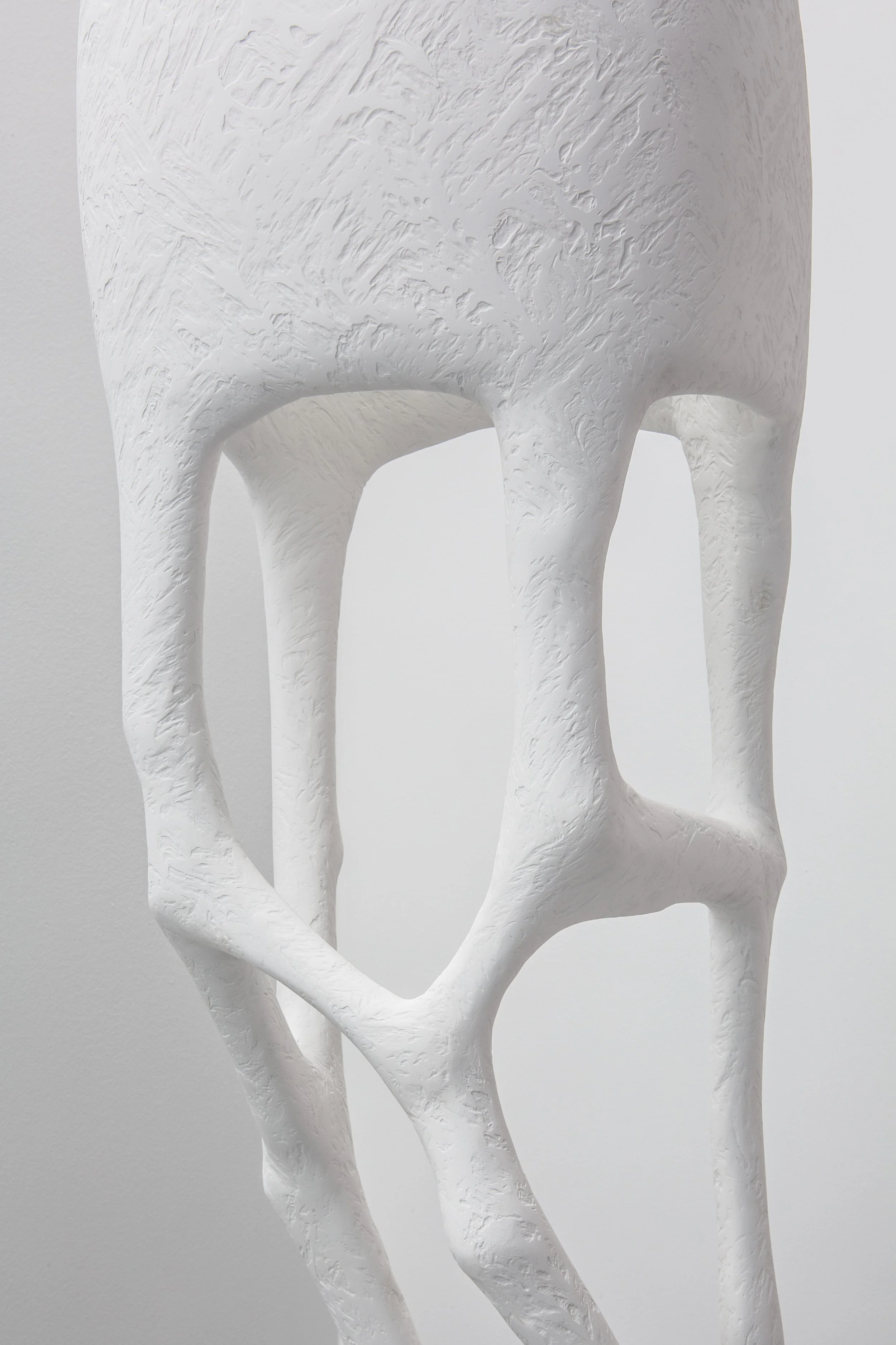 TREVELYAN_Circumspect (White)_02.jpg