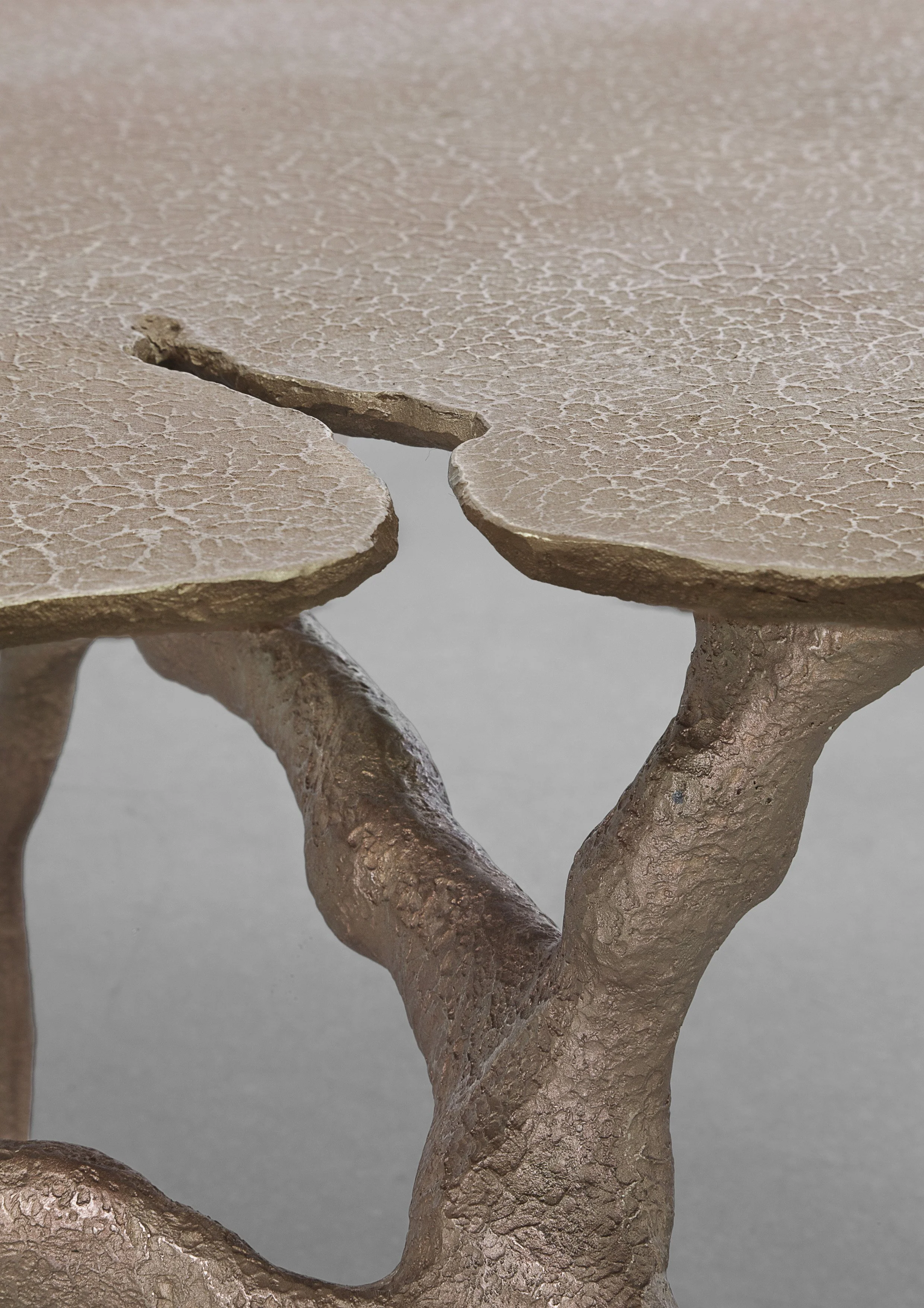 TREVELYAN_Aspect I_01 copy.jpg