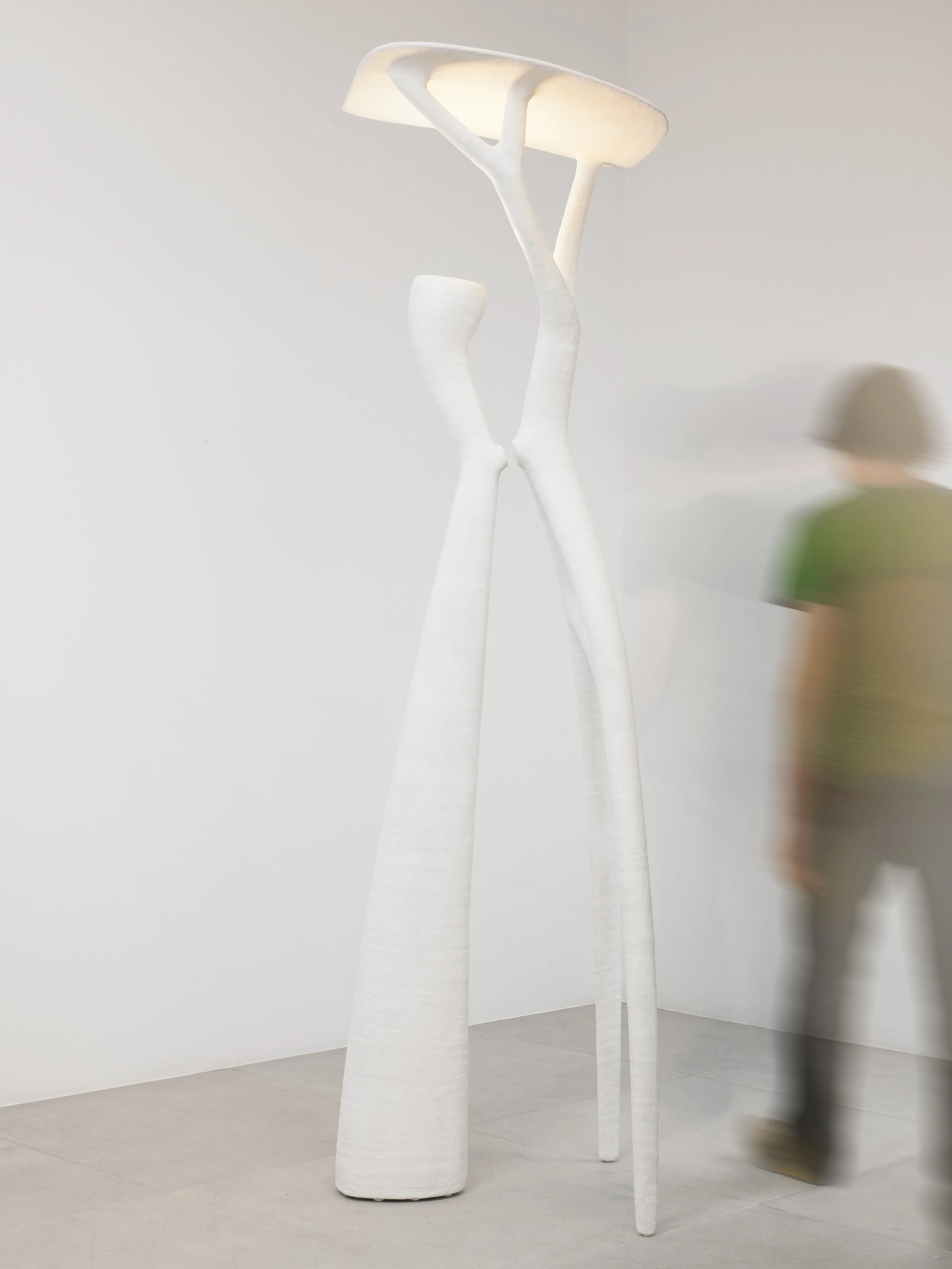 TREVELYAN_(On a) Limb_04.jpg