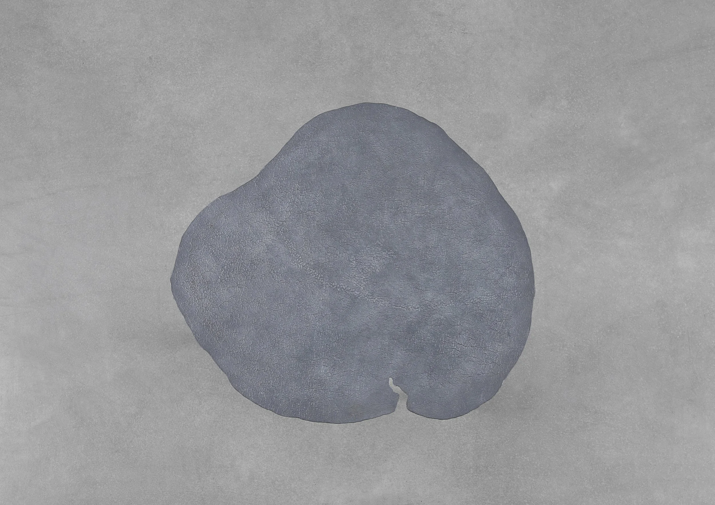 TREVELYAN_Aspect III_Top View.jpg