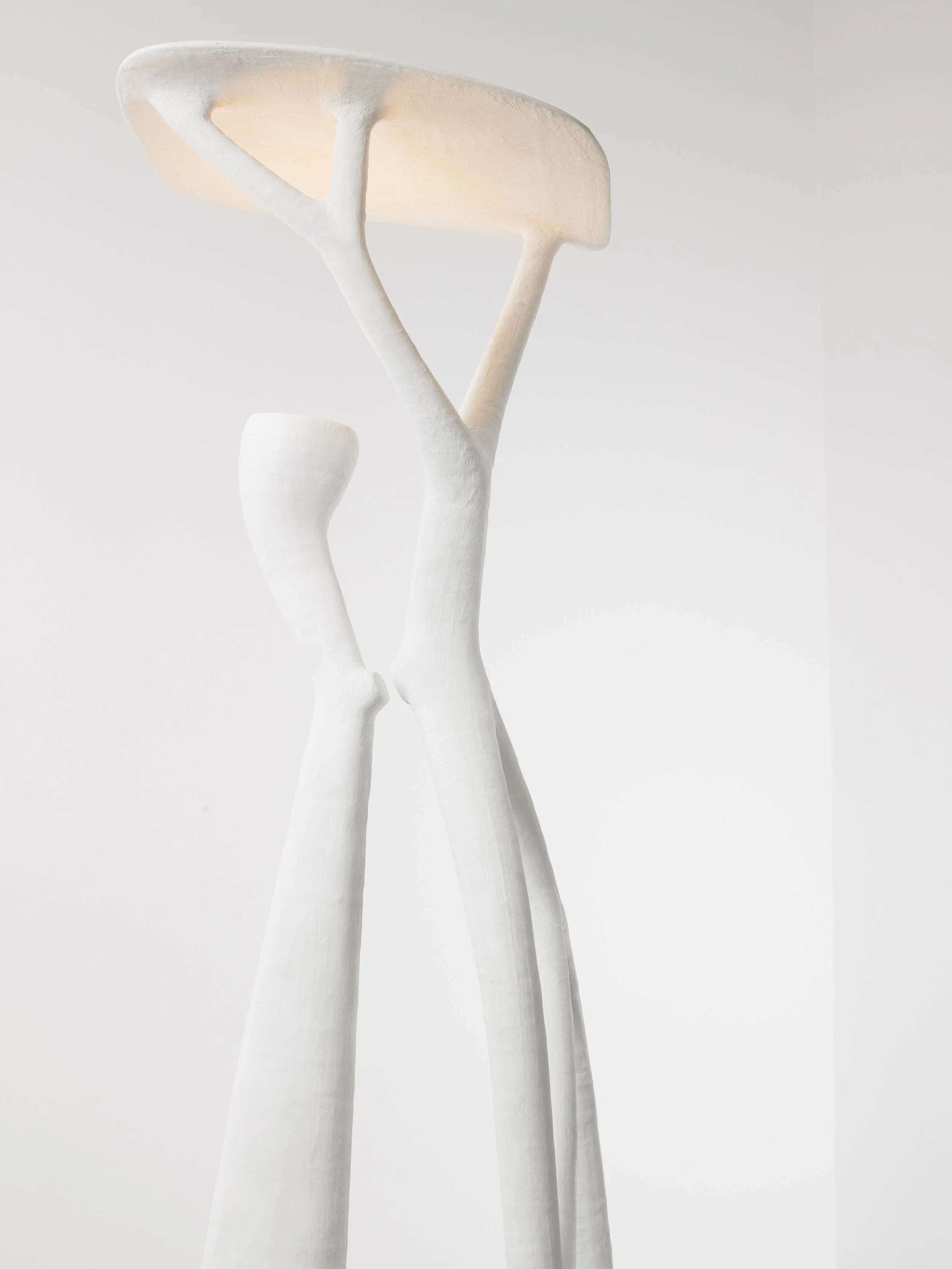 TREVELYAN_(On a) Limb_08.jpg