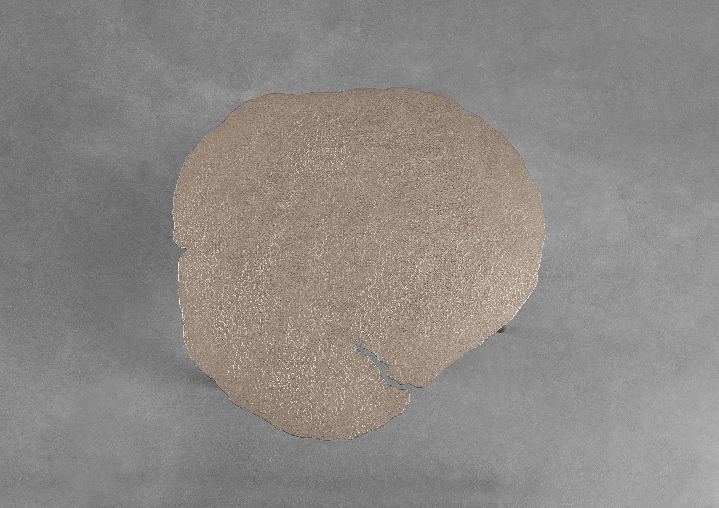 TREVELYAN_Aspect II_Top View.jpg