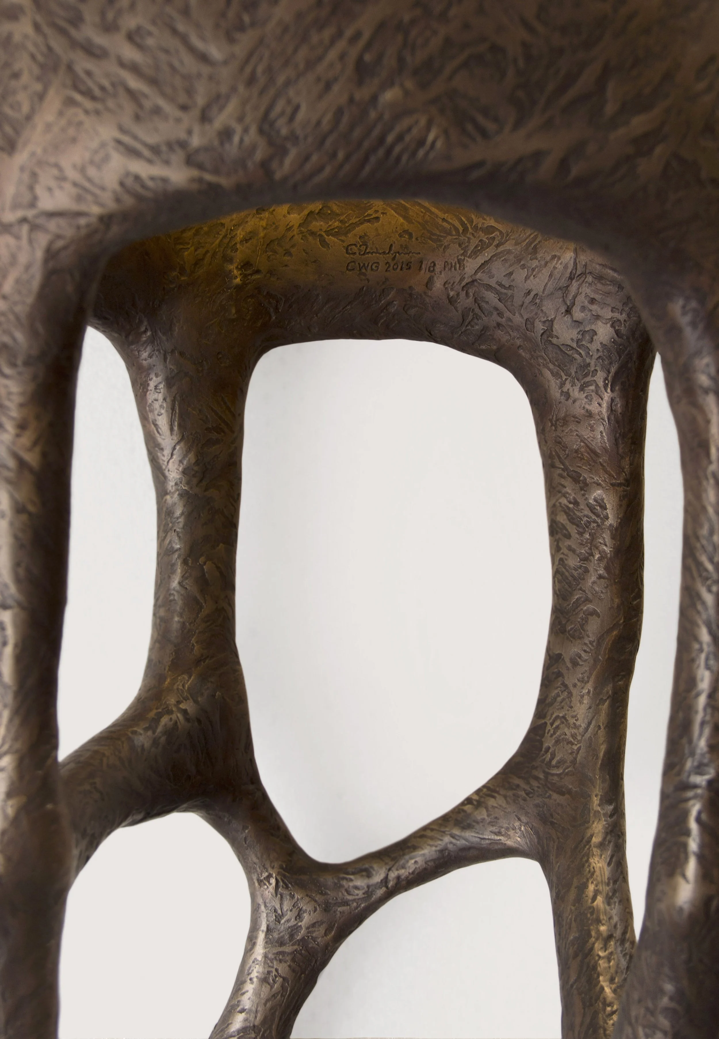 TREVELYAN_Circumspect Bronze_04.jpg