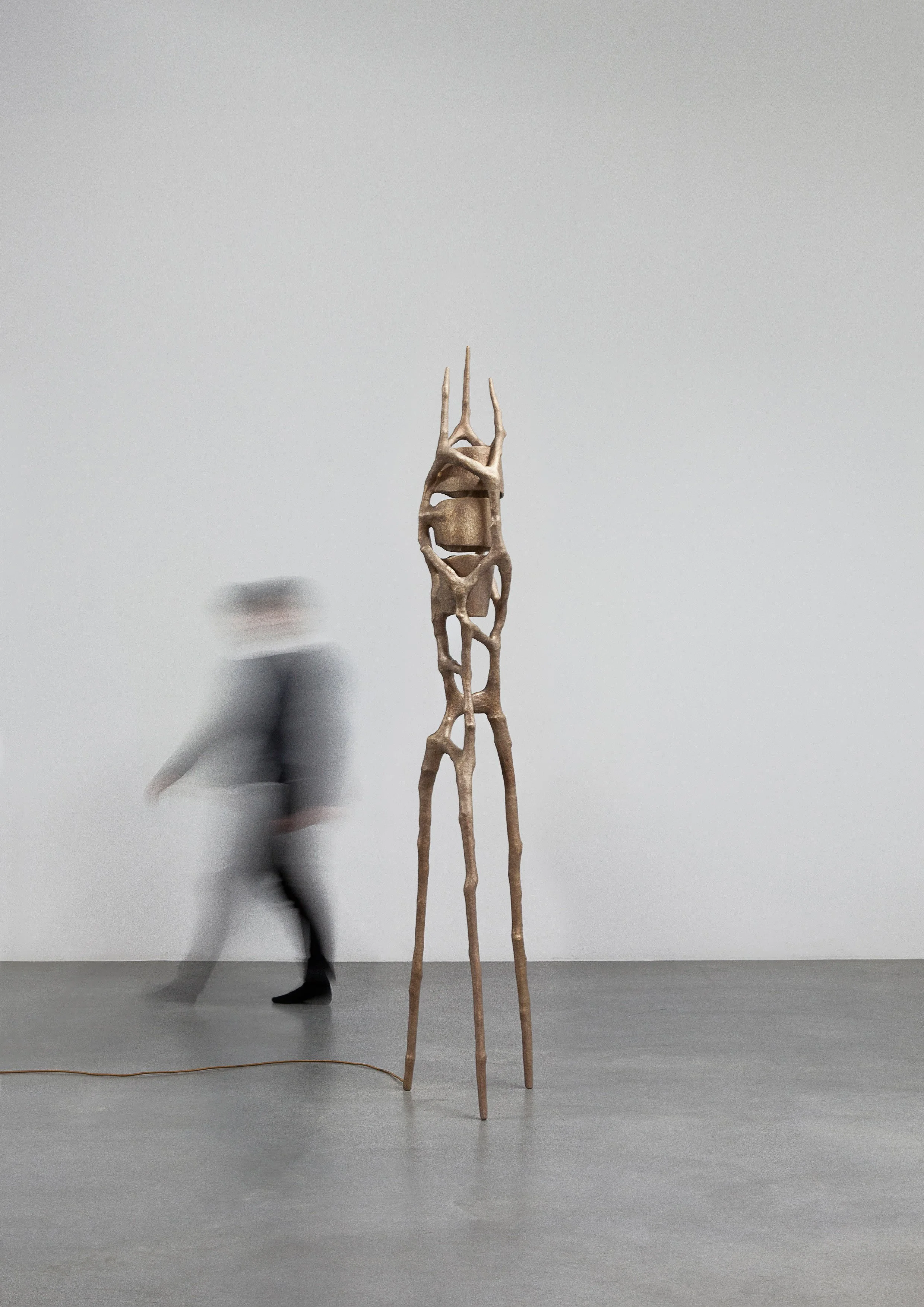 TREVELYAN_Between the Lines_03.jpg