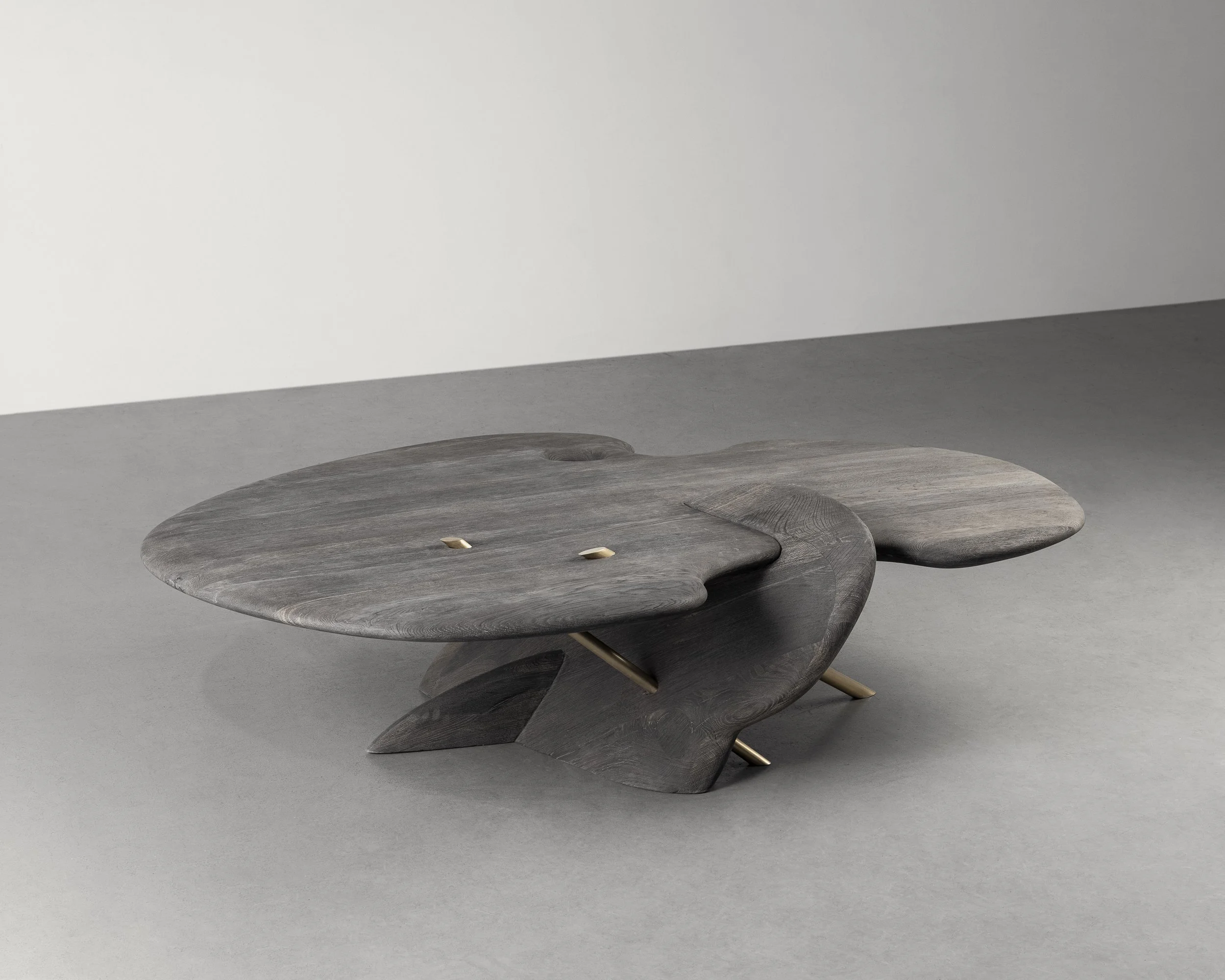 Charles Trevelyan, Fuse 5 (2).jpg