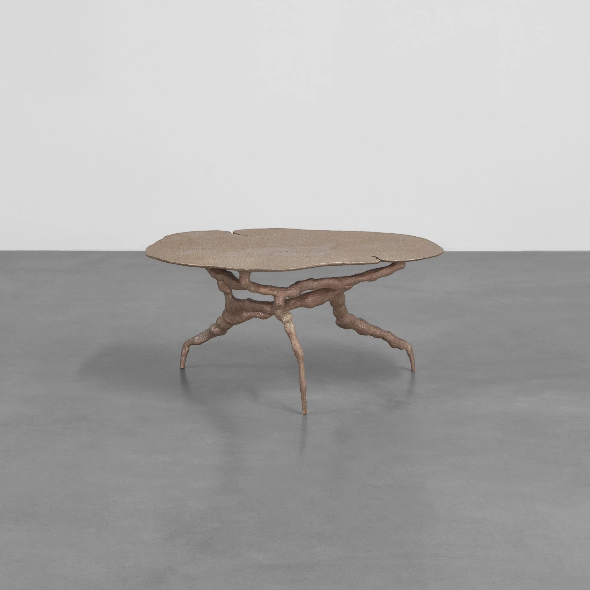 TREVELYAN_Aspect I_02bis.jpg