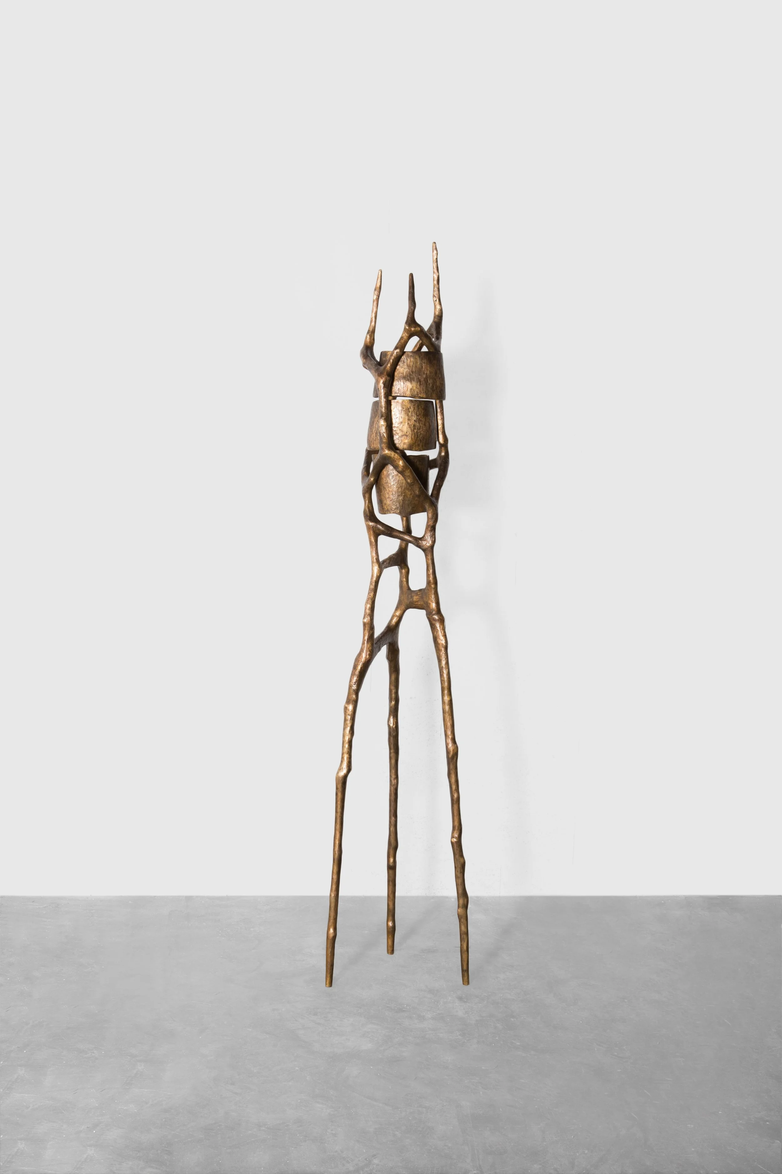 TREVELYAN_Between the Lines Gold_01.jpg