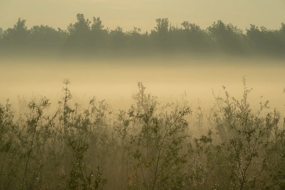 20250429-DSC_0095-Social media liggend zonder logo.jpg