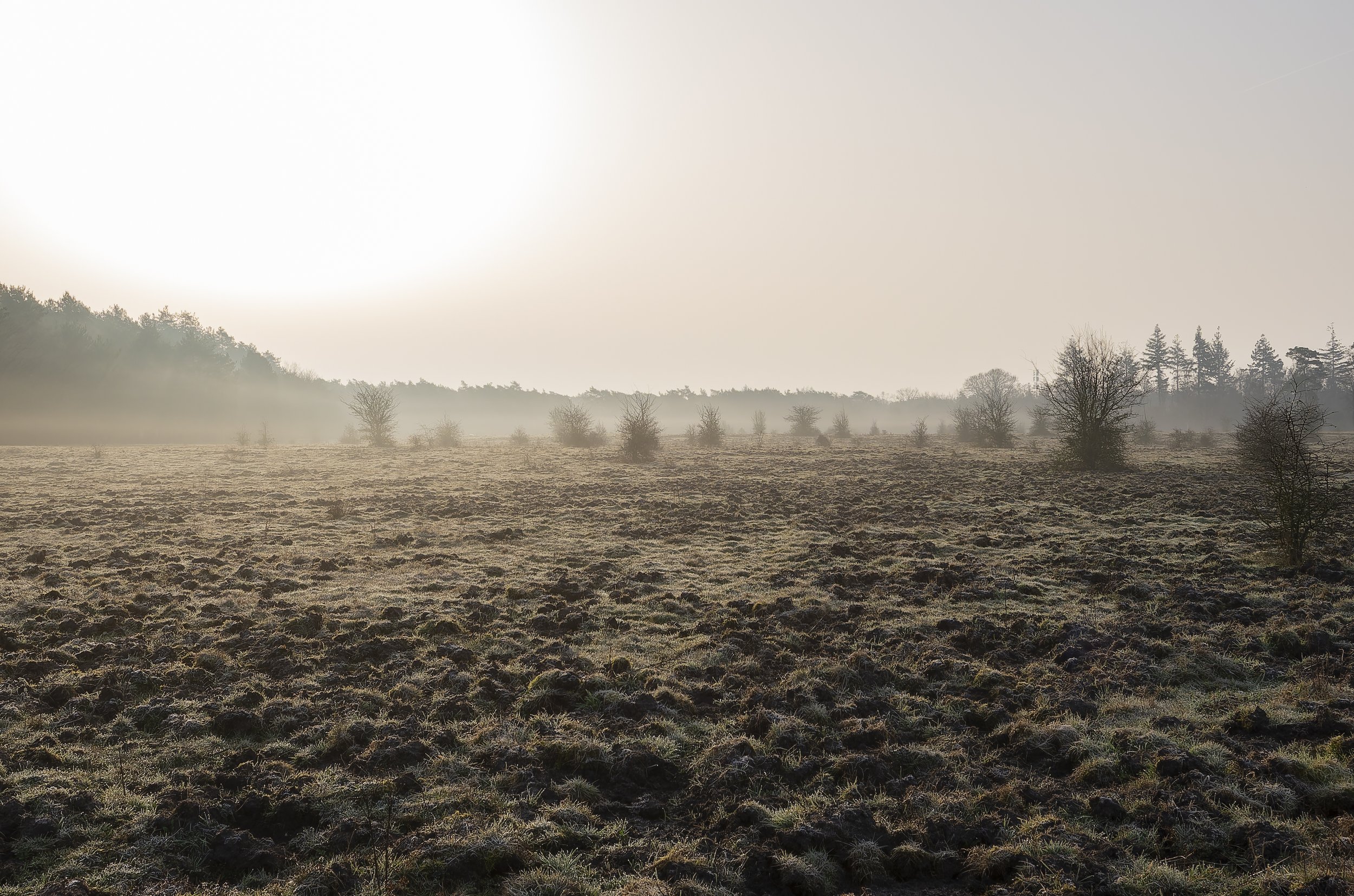 Natuur & landschappen