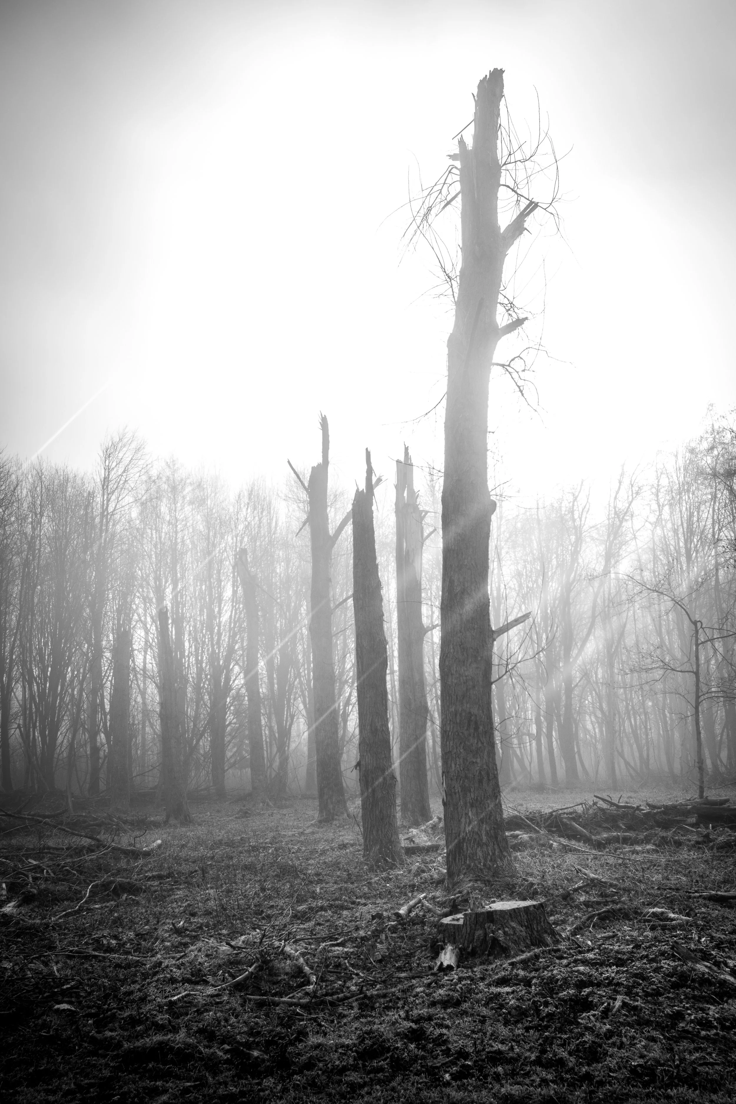 volledige kwaliteit zonder watermerk-0041.jpg