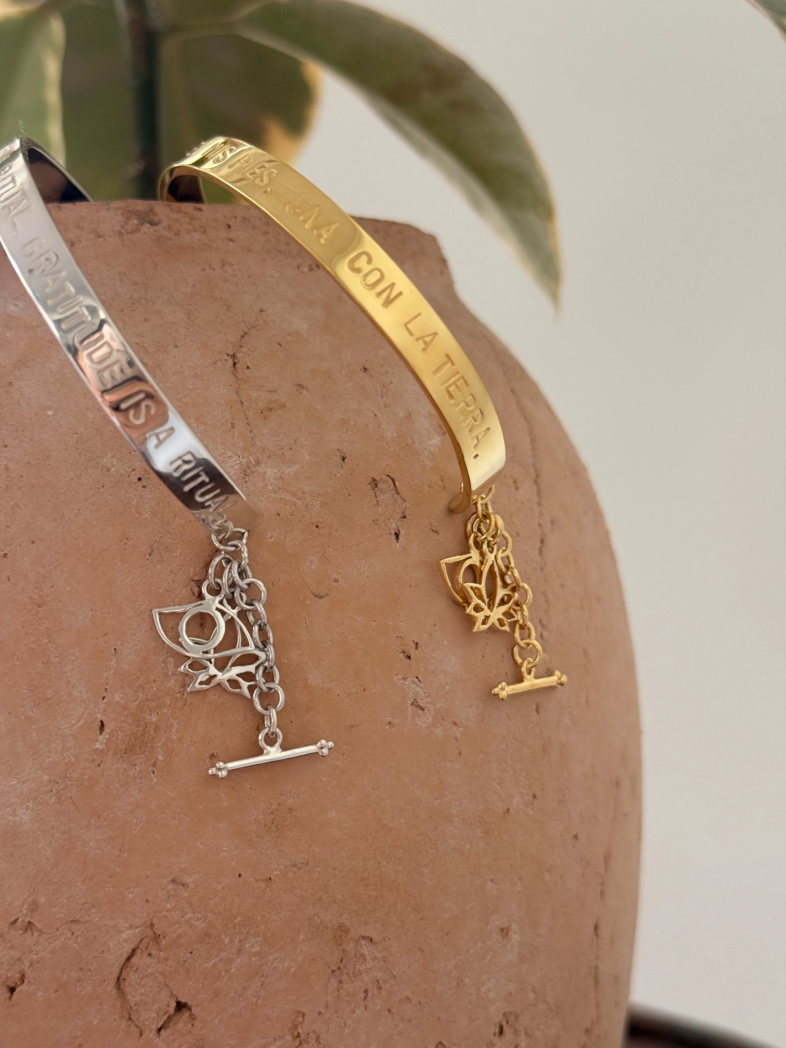 IMG_6748 copy.jpg (Copy) (Copy) (Copy)