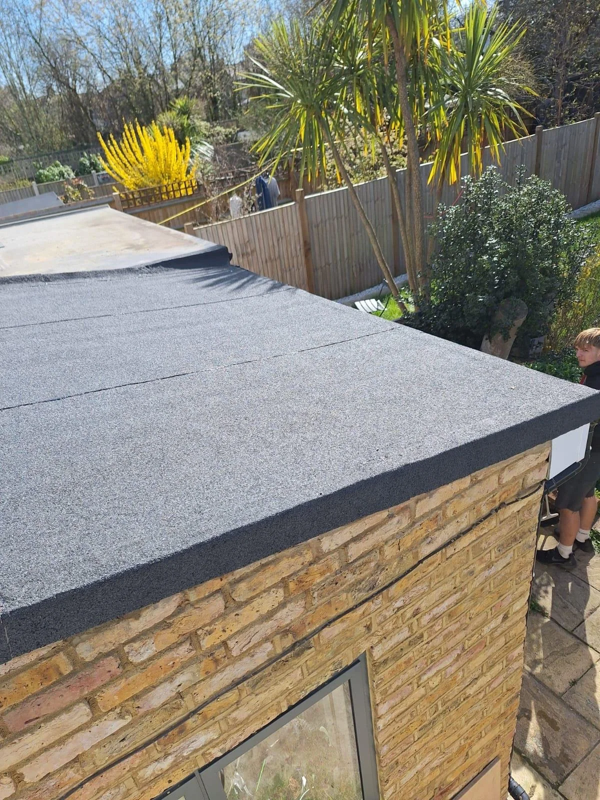 View of a backyard with a wooden fence, trees, and plants, including yellow and green foliage, taken from the roof of a brick house with gray roofing material. A person is partially visible on the right side.