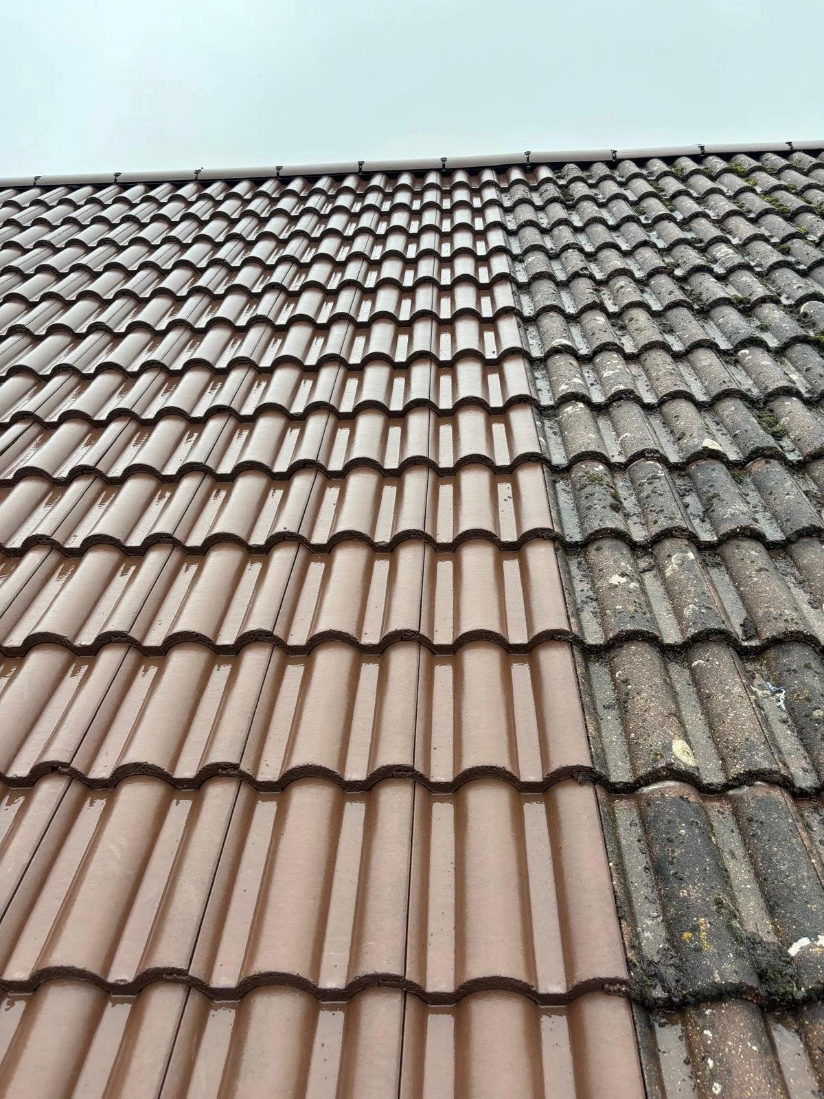 Comparison of new and old roof tiles on a sloped roof, with the new tiles clean and the old tiles covered in moss and dirt.