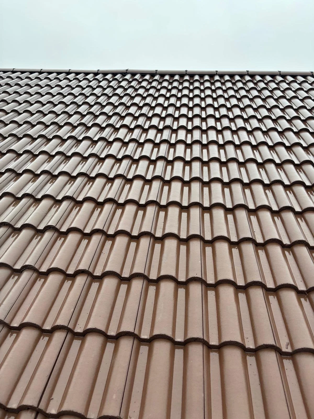Close-up view of a roof with pinkish-brown curved tiles.