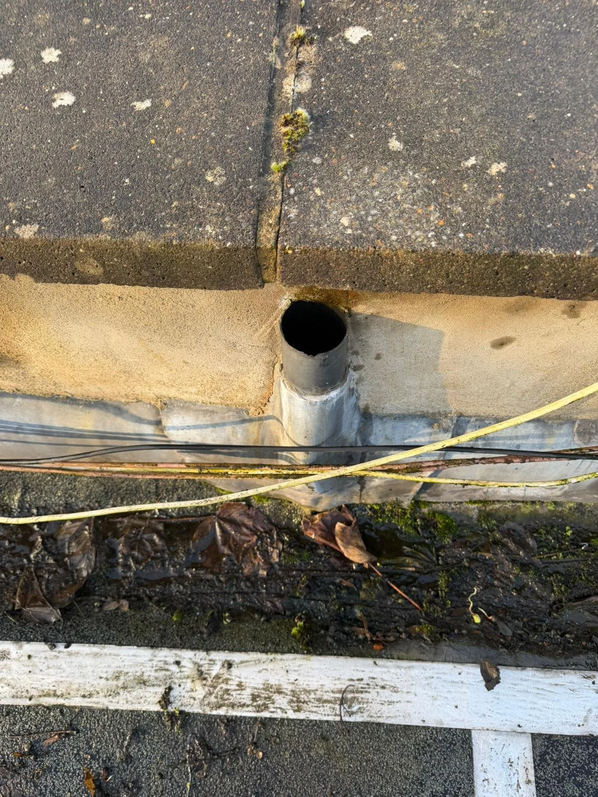 Close-up of a chimney vent pipe protruding from a building wall, with moss and dirt around the base, and a white painted curb and dried leaves in the foreground.